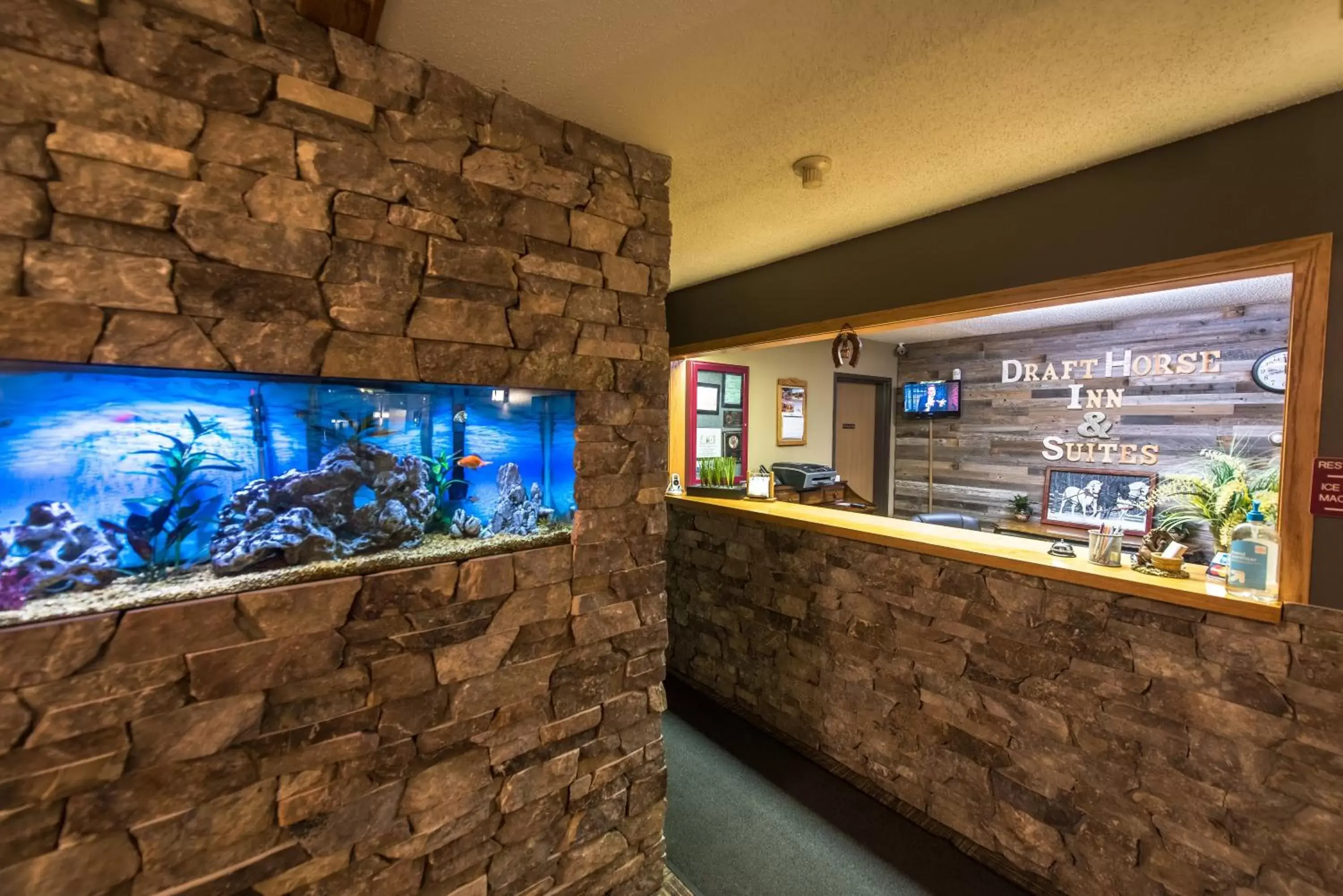 Lobby or reception in Draft Horse Inn and Suites Lobby or reception in Draft Horse Inn and Suites