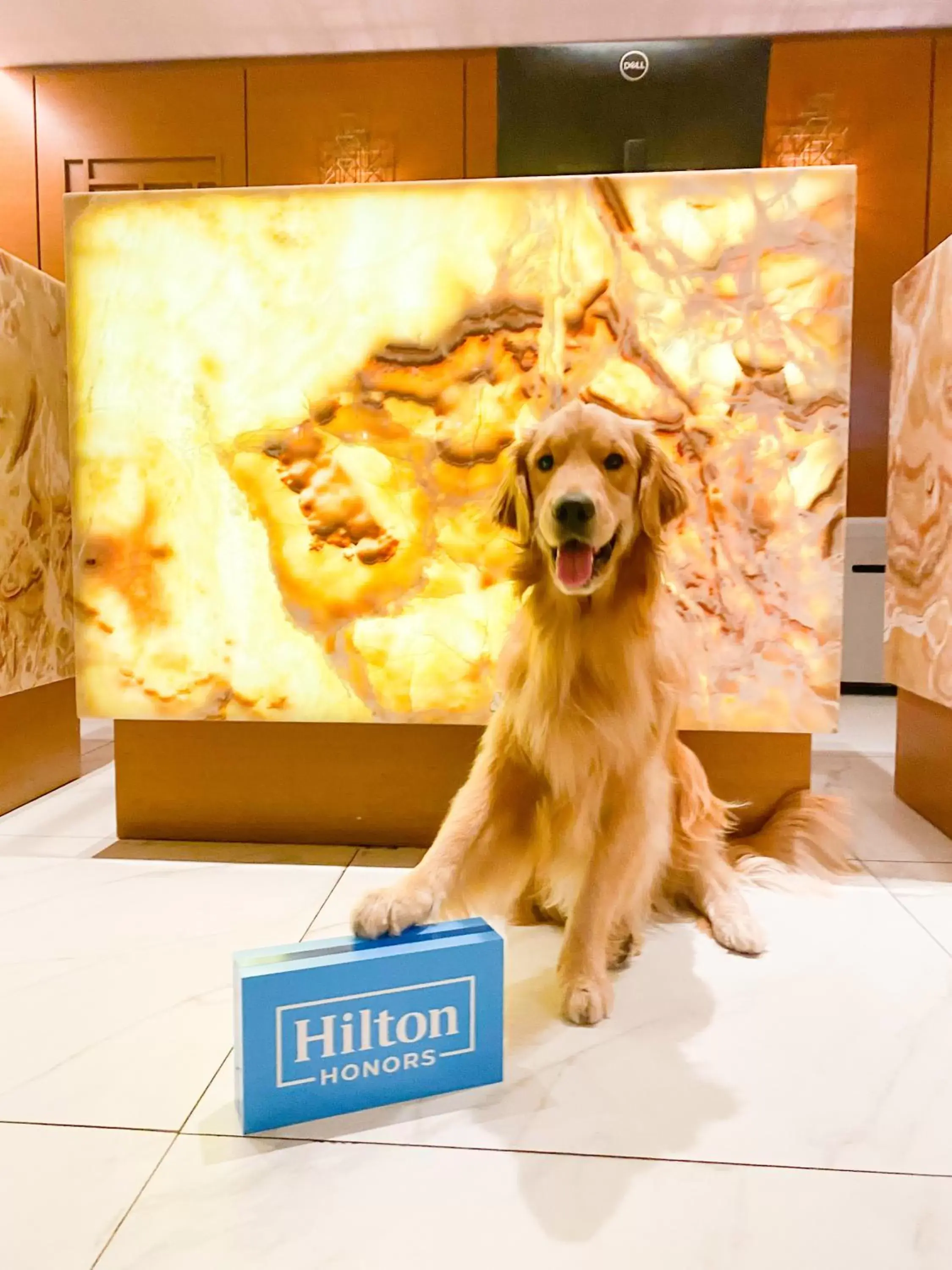 Property building in Hilton Porto Alegre, Brazil Property building in Hilton Porto Alegre, Brazil