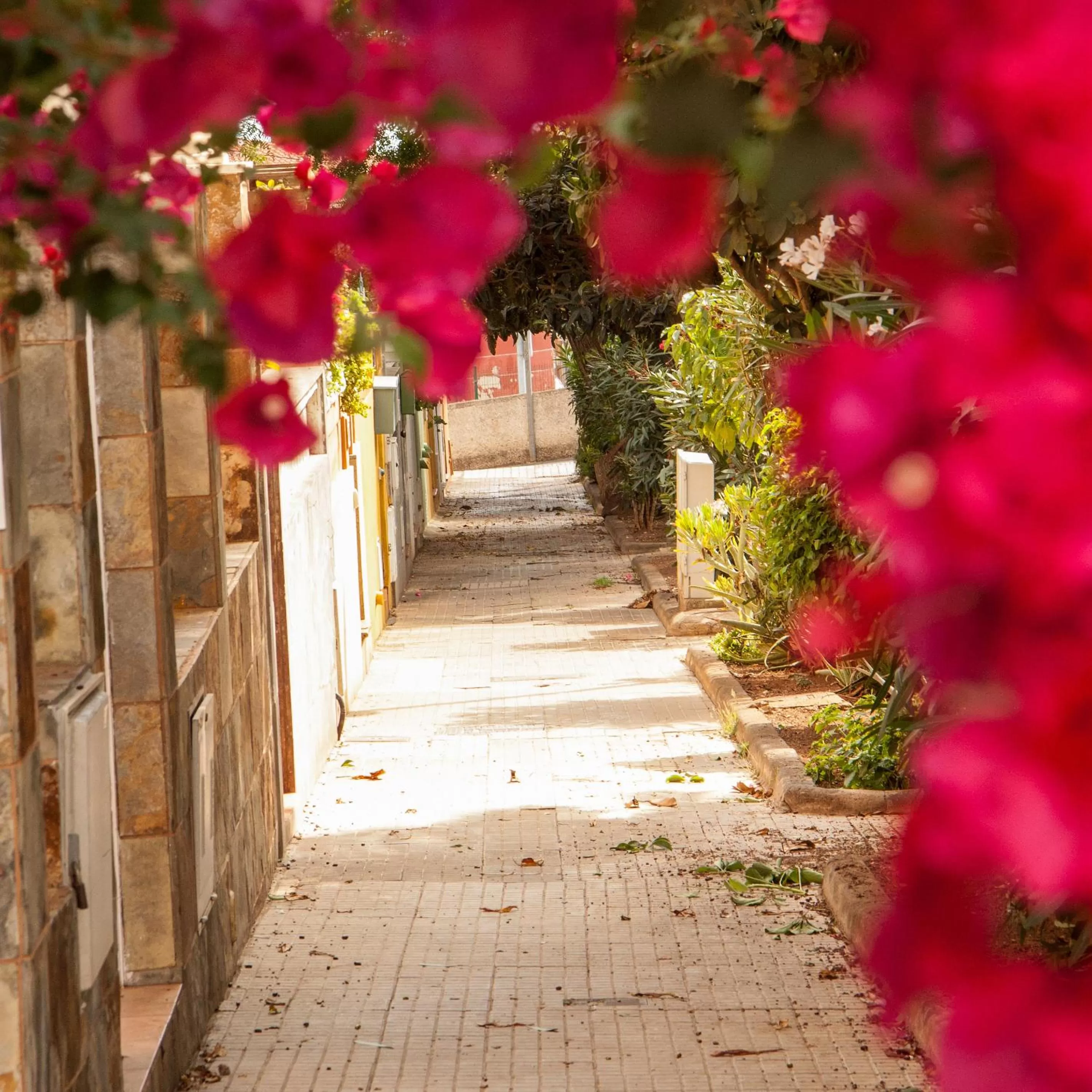 Natural landscape in Il Sogno di Gio de la Laguna