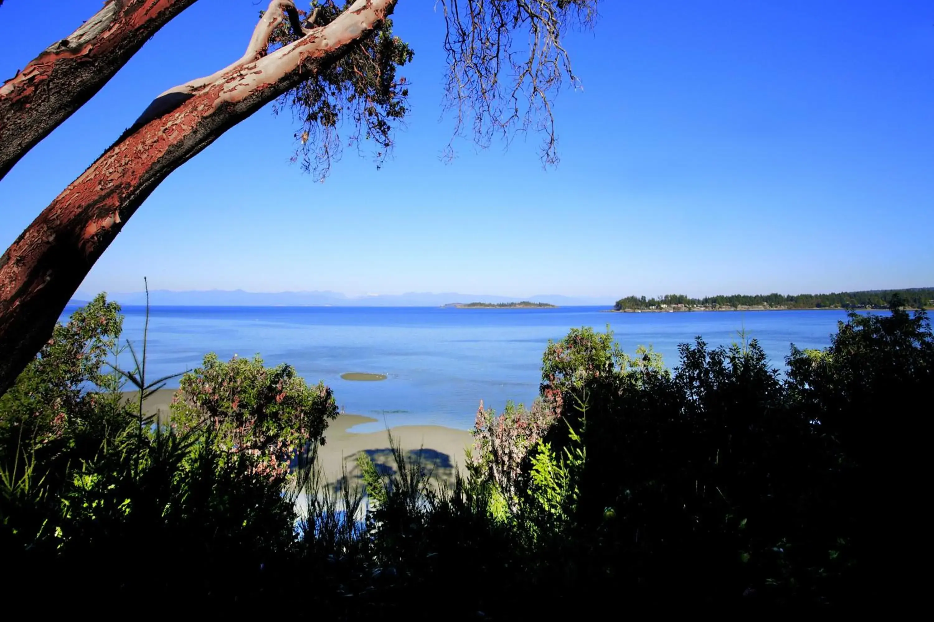 View (from property/room) in Tigh-Na-Mara Resort & Conference Centre