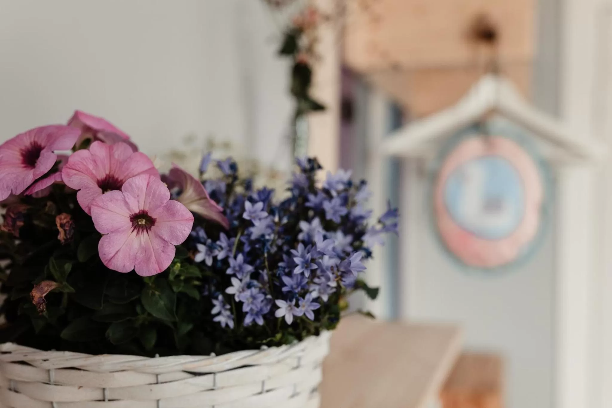 Photo of the whole room in Hotel 'Das Strandhaus'