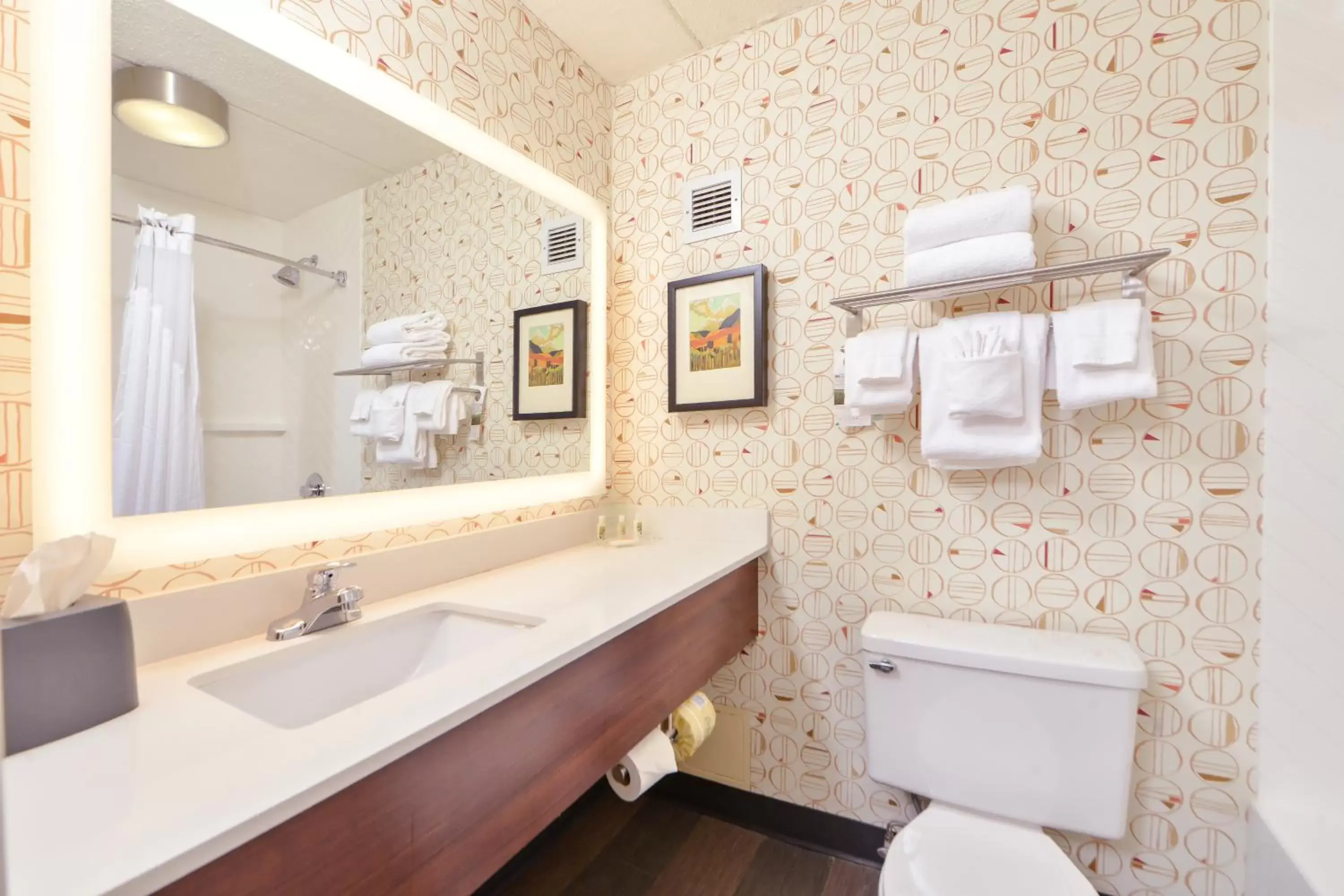 Photo of the whole room, Bathroom in Holiday Inn Auburn-Finger Lakes Region, an IHG Hotel