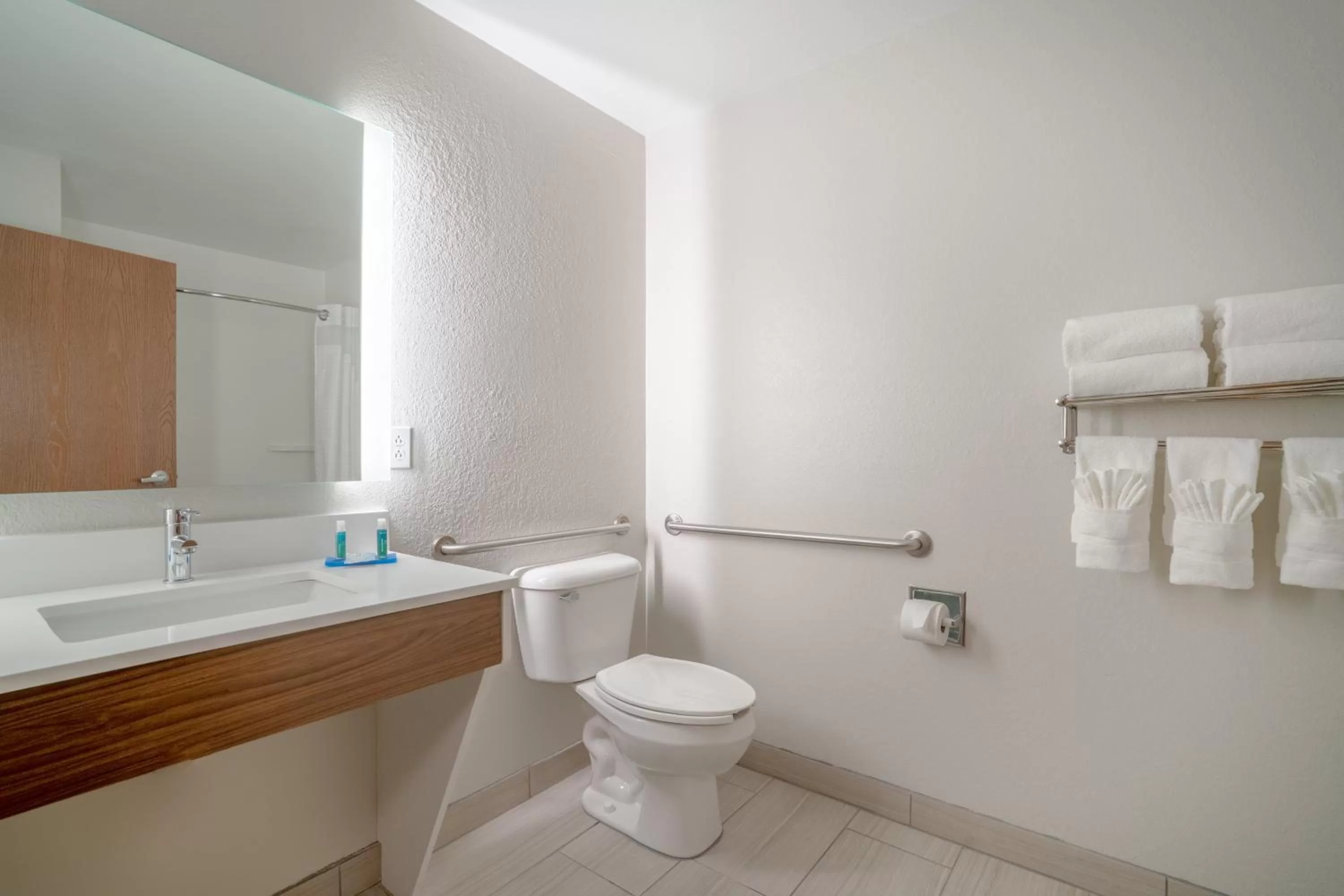 Bathroom in Holiday Inn Express Hotel & Suites Elkins by IHG