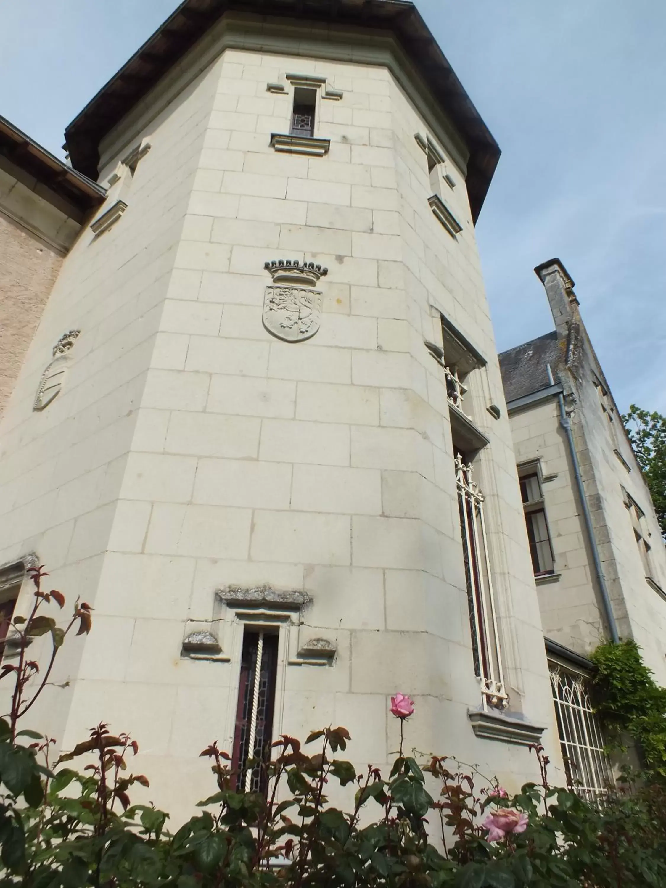 Property Building in Château de Nazé