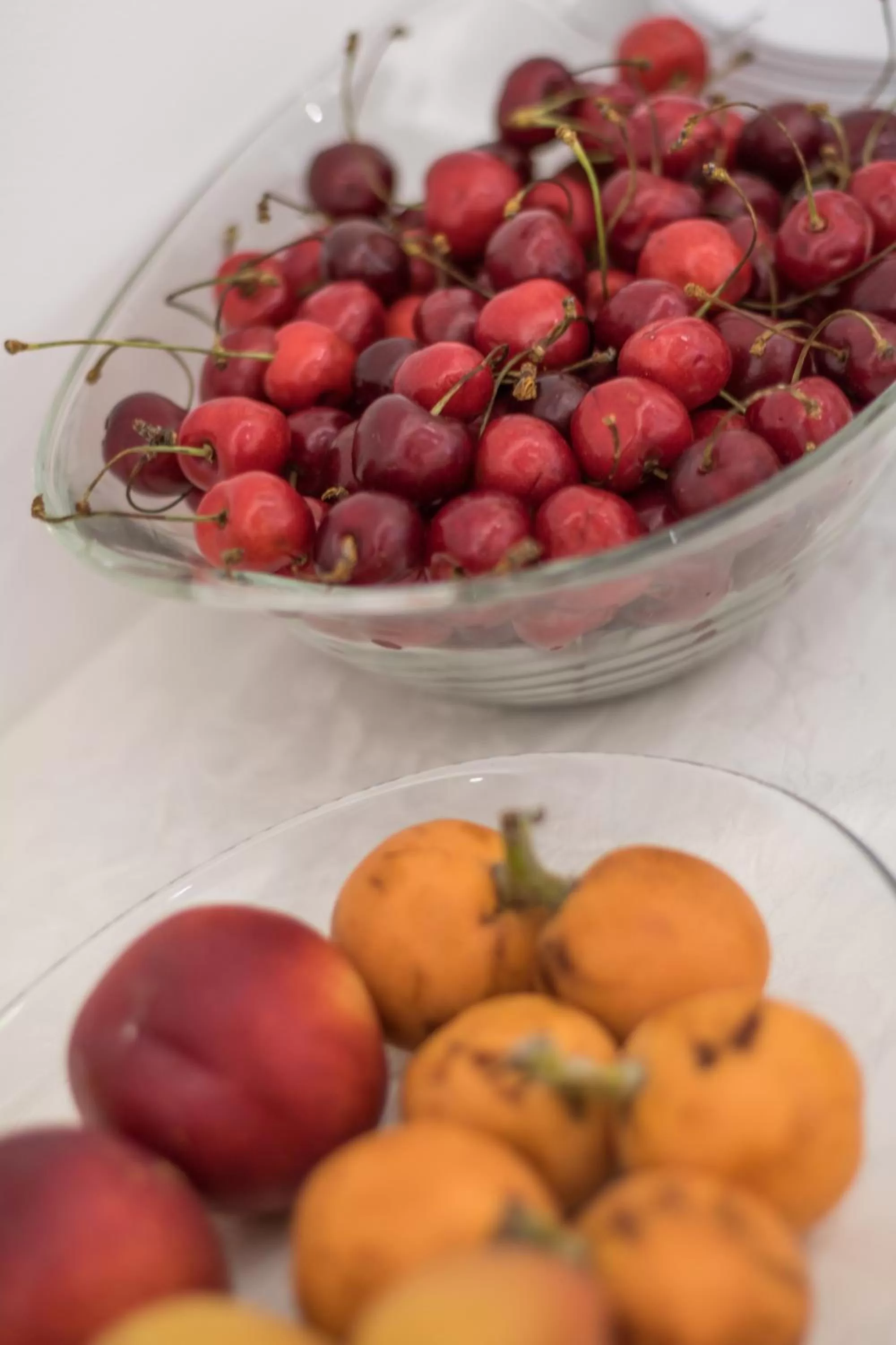 Food and drinks in La Gemma del Salento