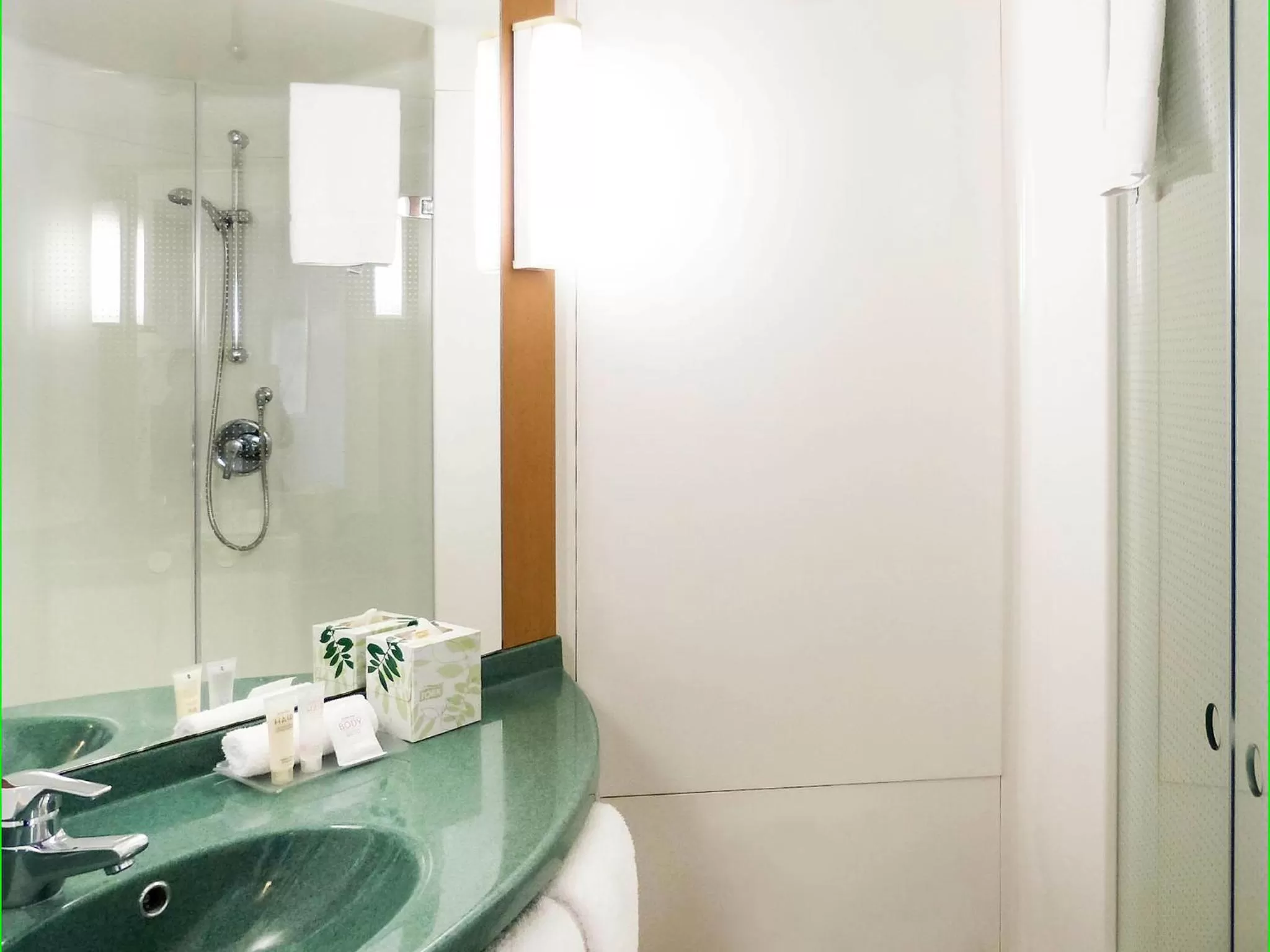 Toilet in ibis Thornleigh