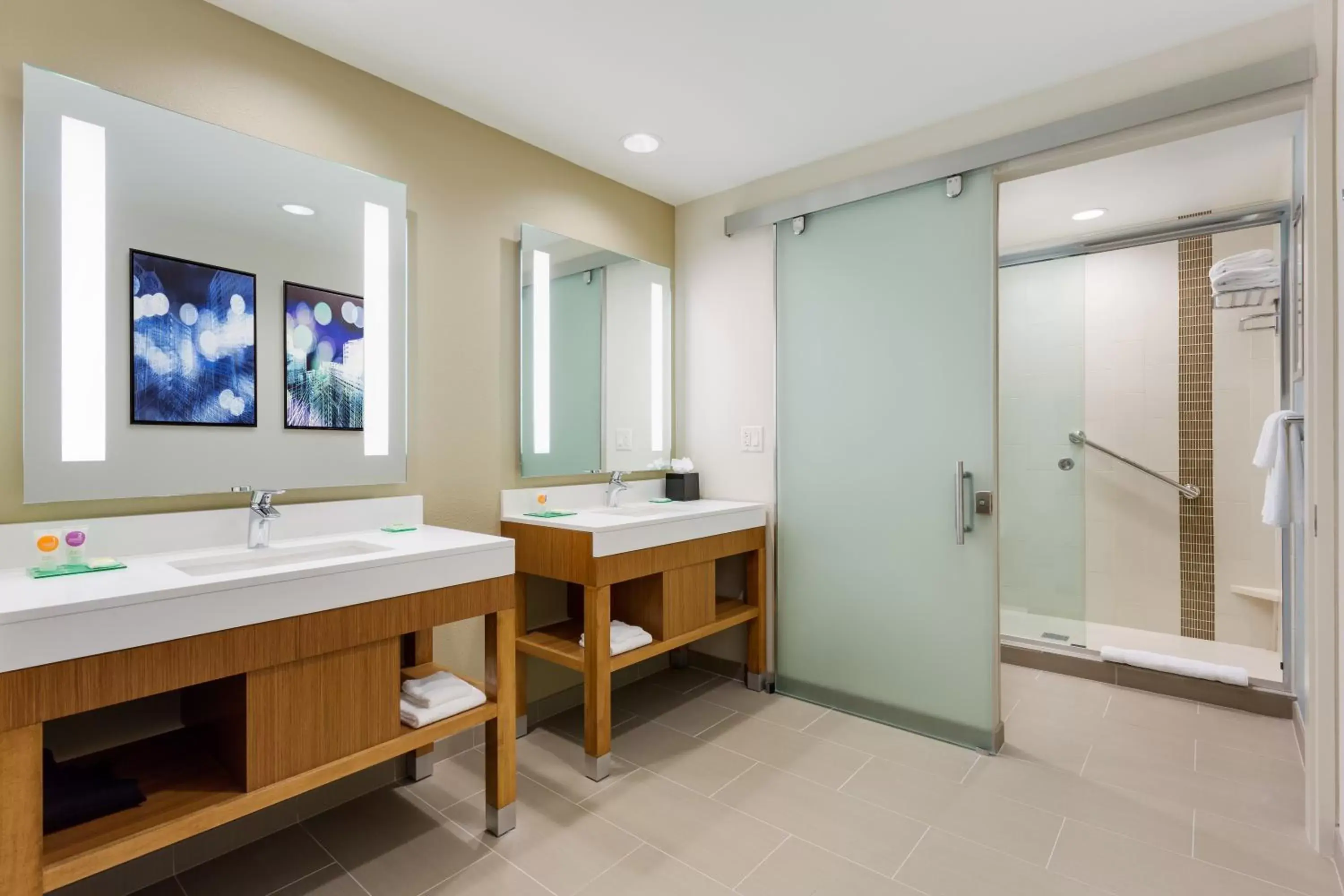 Shower, Bathroom in Hyatt Place Chicago/Downtown - The Loop