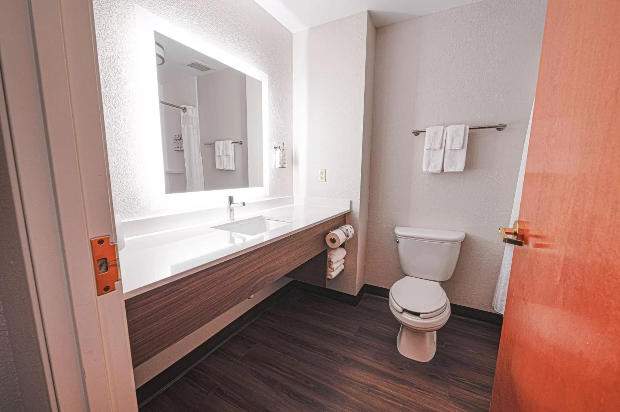 Bathroom in Holiday Inn Express Hotel & Suites East Lansing by IHG