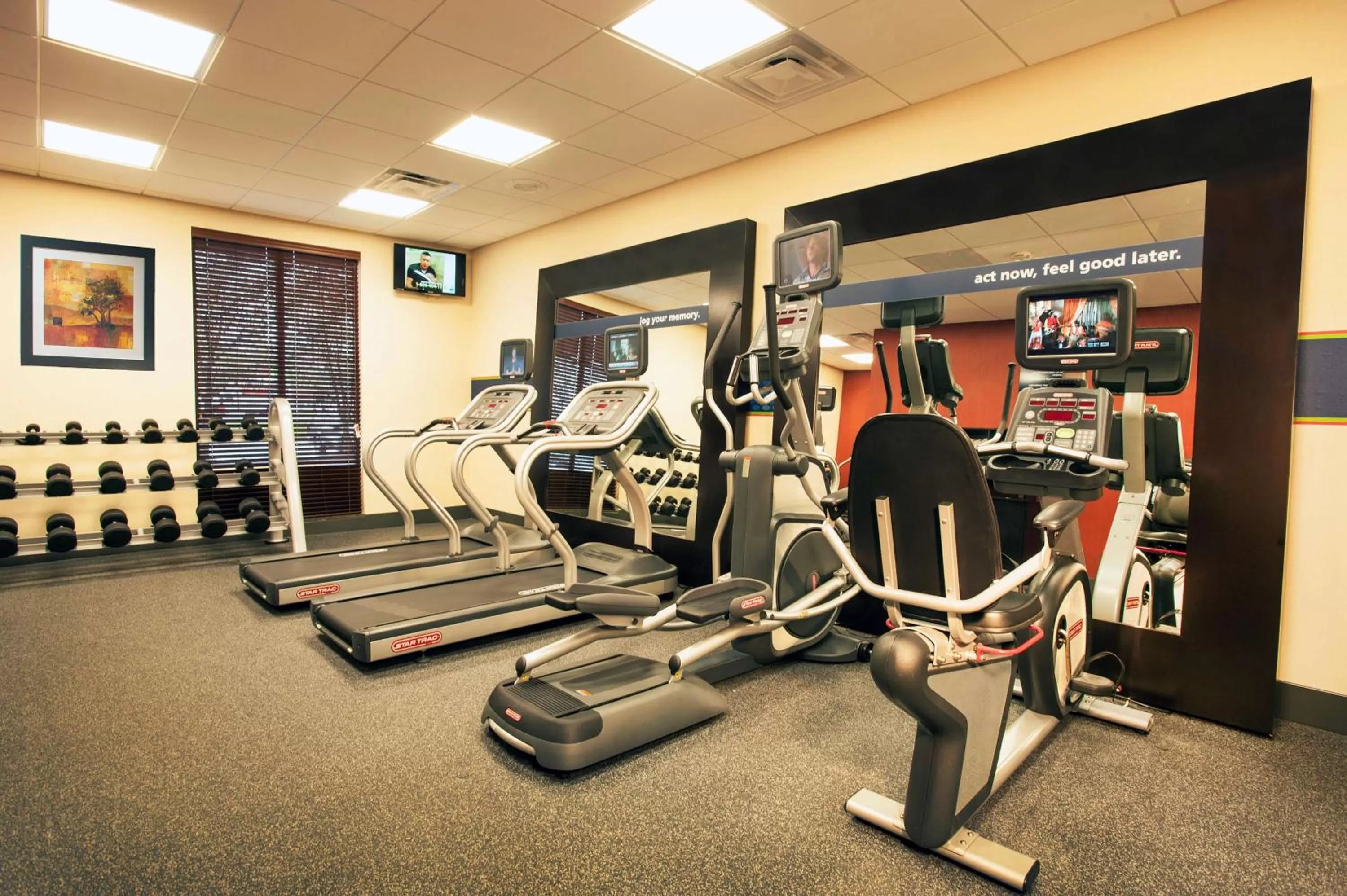 Fitness centre/facilities in Hampton Inn Washington-Dulles International Airport South