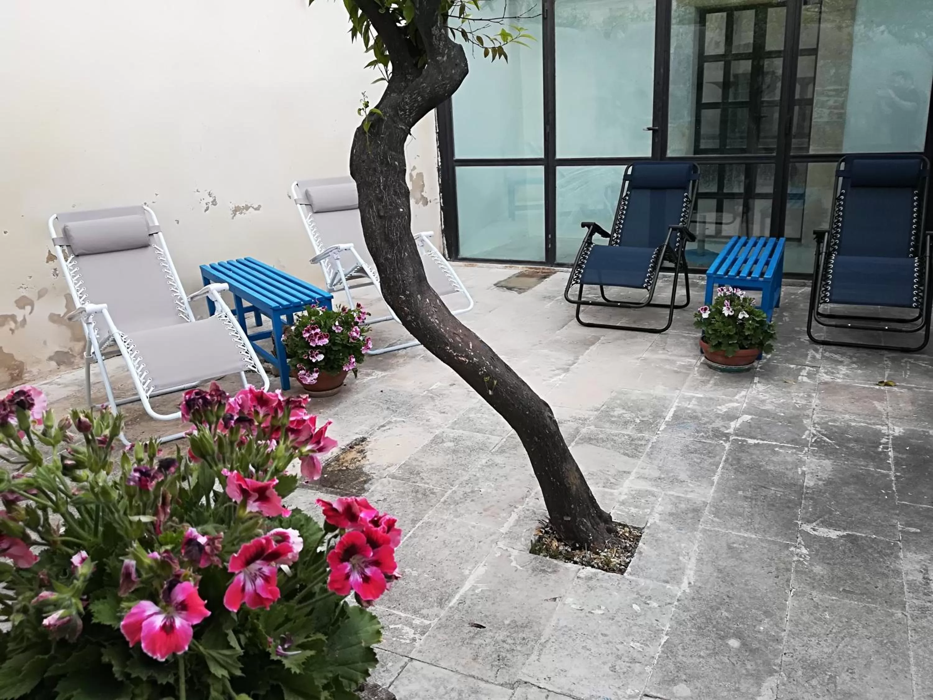 Garden in Residenza Donnafugata B&B