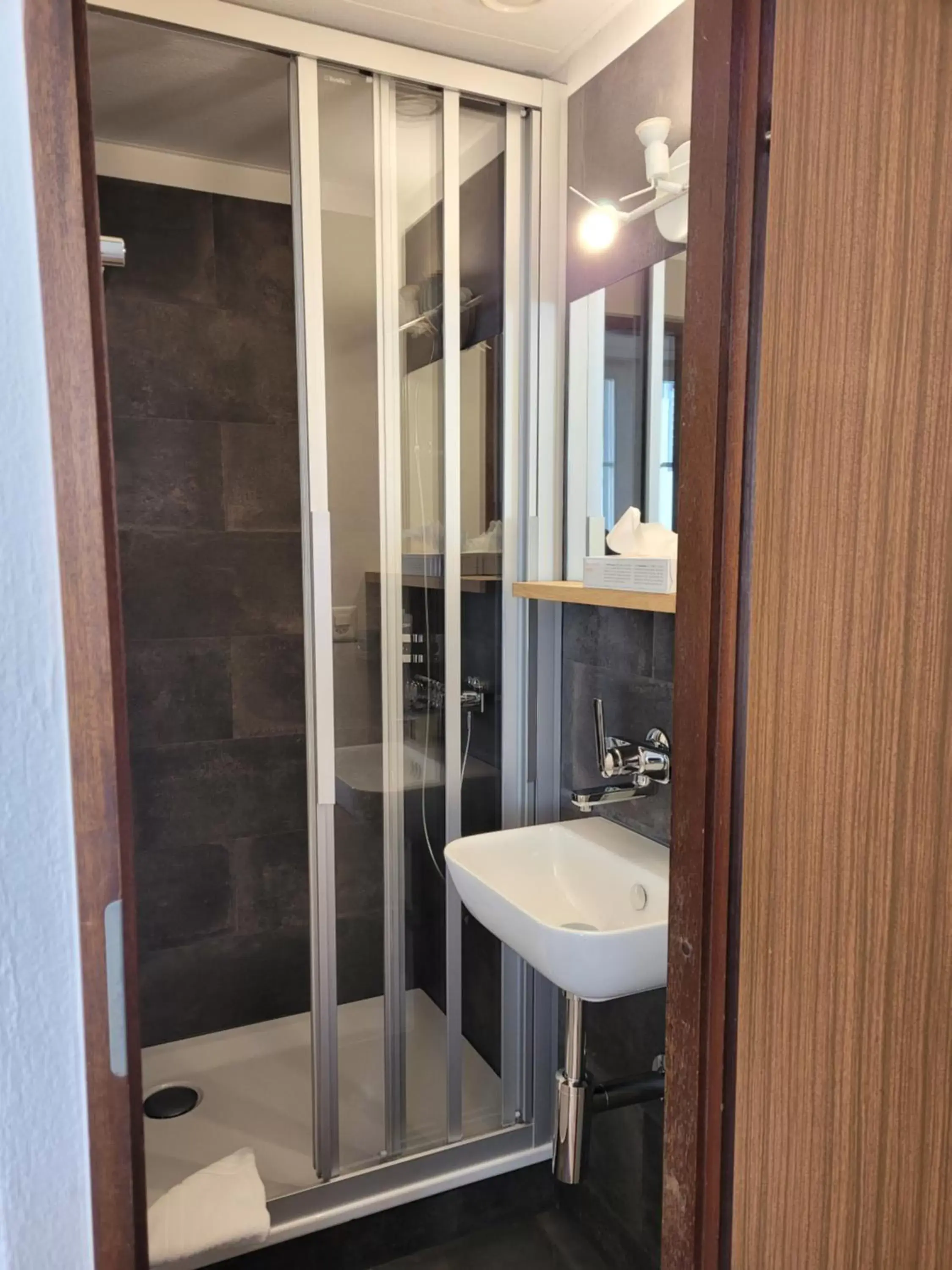 Shower, Bathroom in Zunfthaus zur Rebleuten