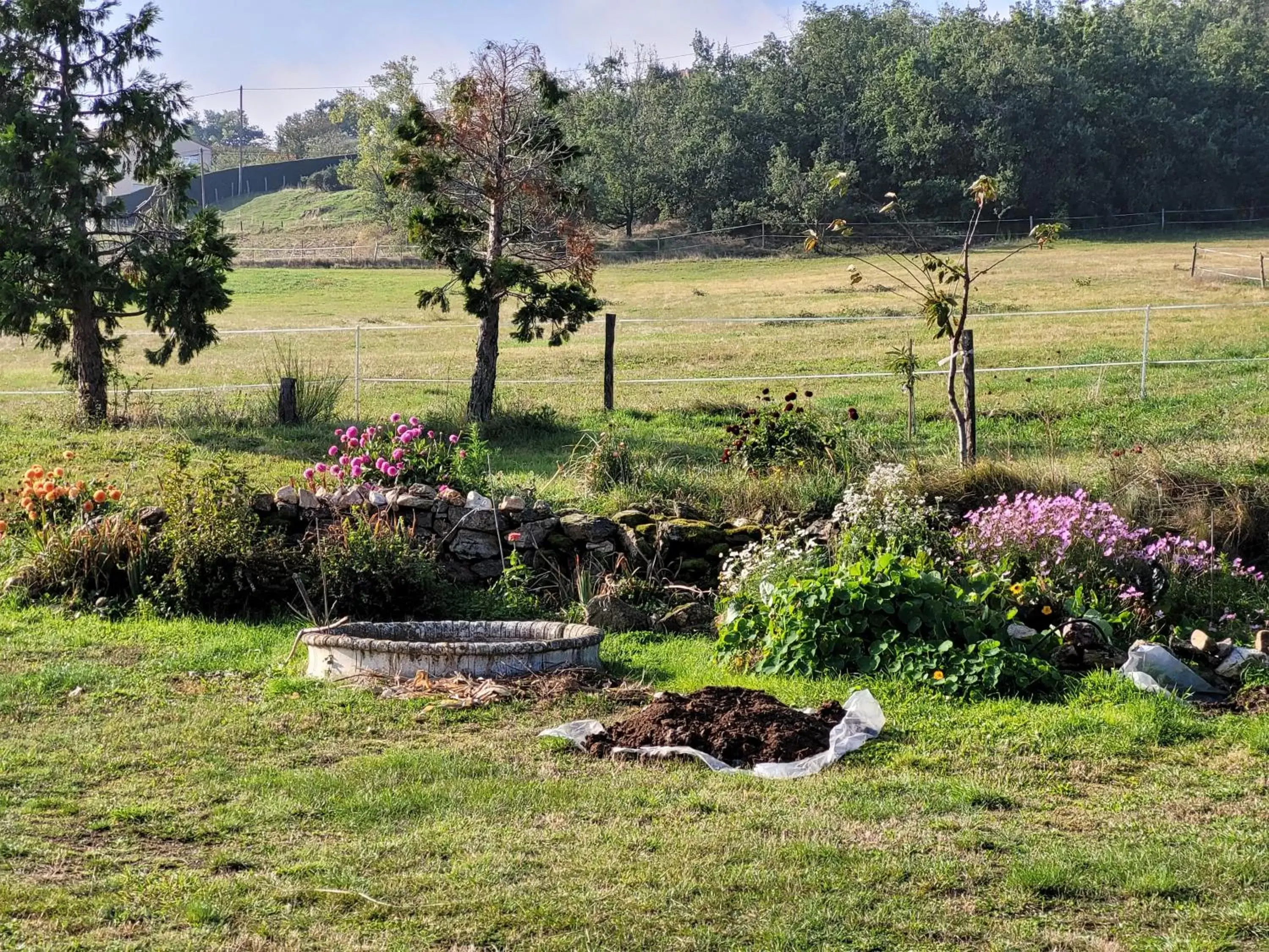 Garden in Ferme de la Combe - The Goldy's Farm