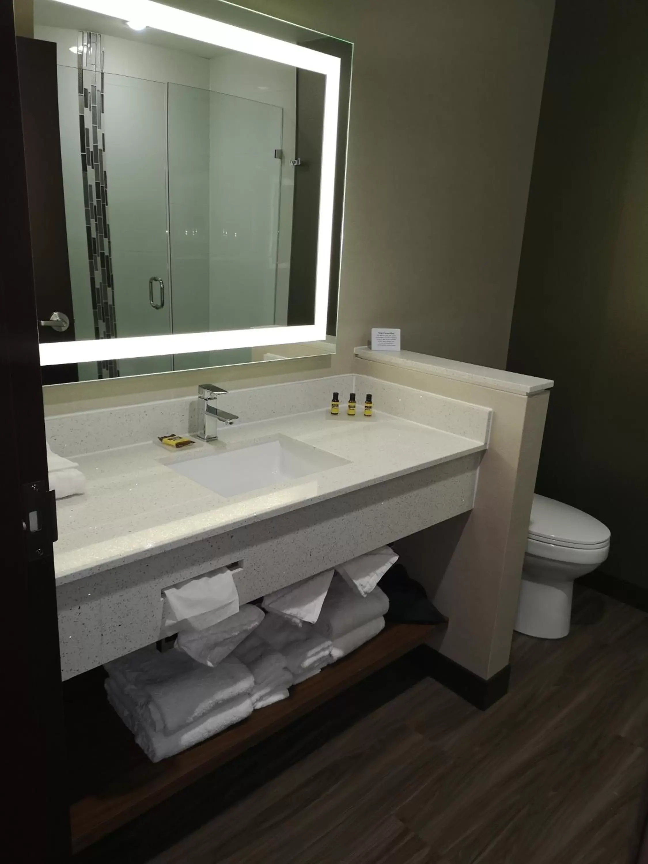 Bathroom in Best Western Plus Hinton Inn & Suites