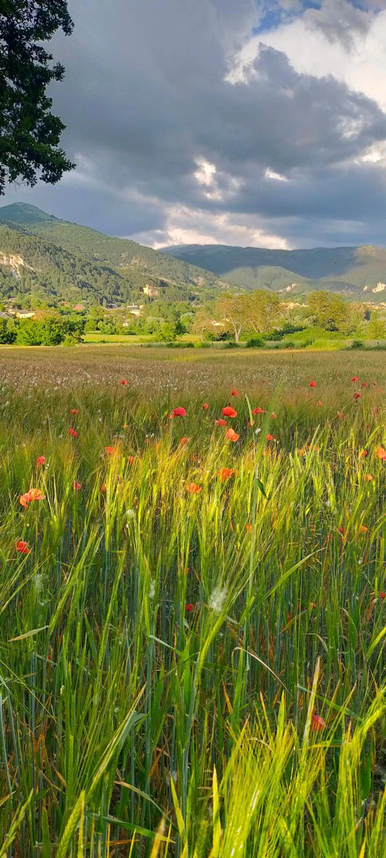 Spring, Natural Landscape in Casa Fra Ambrogio