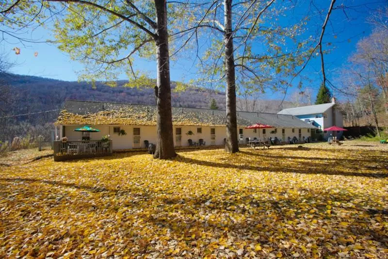 View (from property/room), Property Building in Starlite Motel & Suites