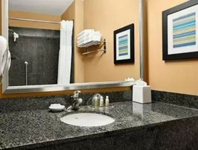 Bathroom in Holiday Inn Scottsdale North- Airpark, an IHG Hotel