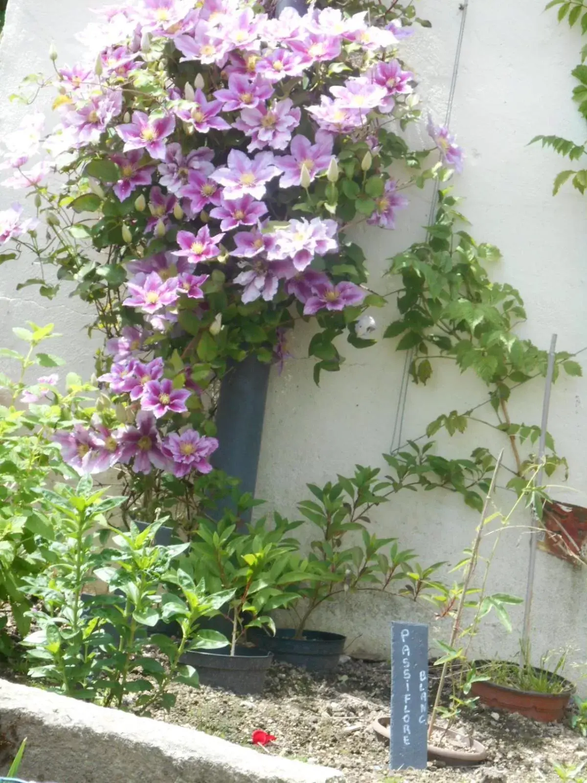 Decorative detail in La Mare aux Fées