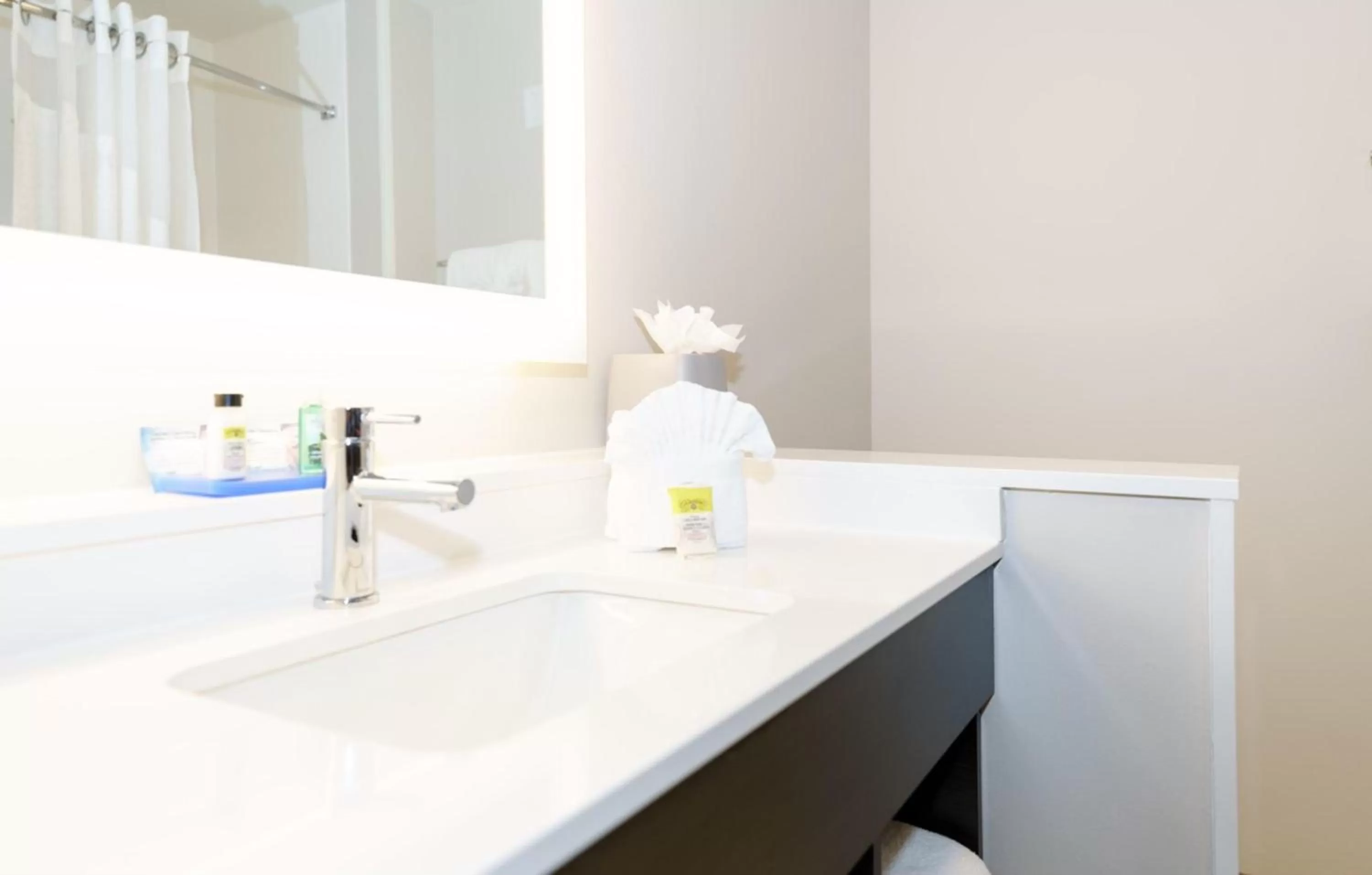 King Suite with Accessible Roll-in Shower in Holiday Inn Express & Suites Franklin - Berry Farms, an IHG Hotel