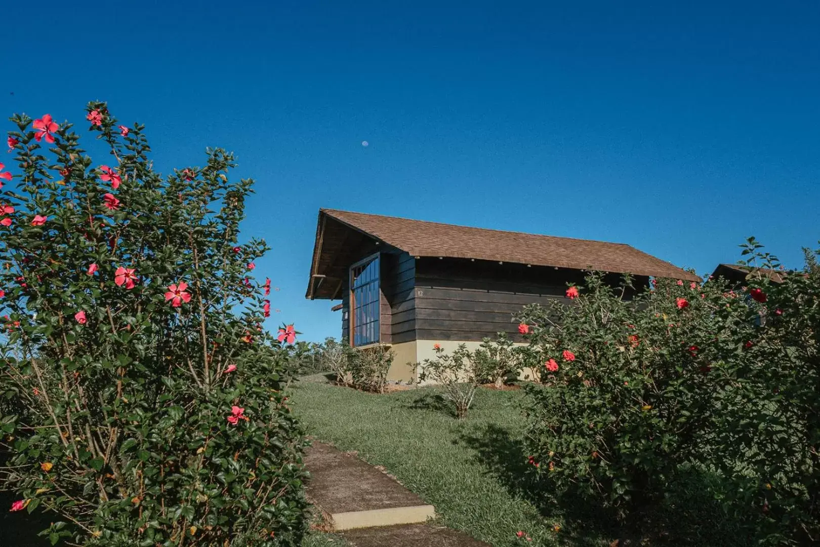 Garden view, Property Building in Hotel Campo Verde