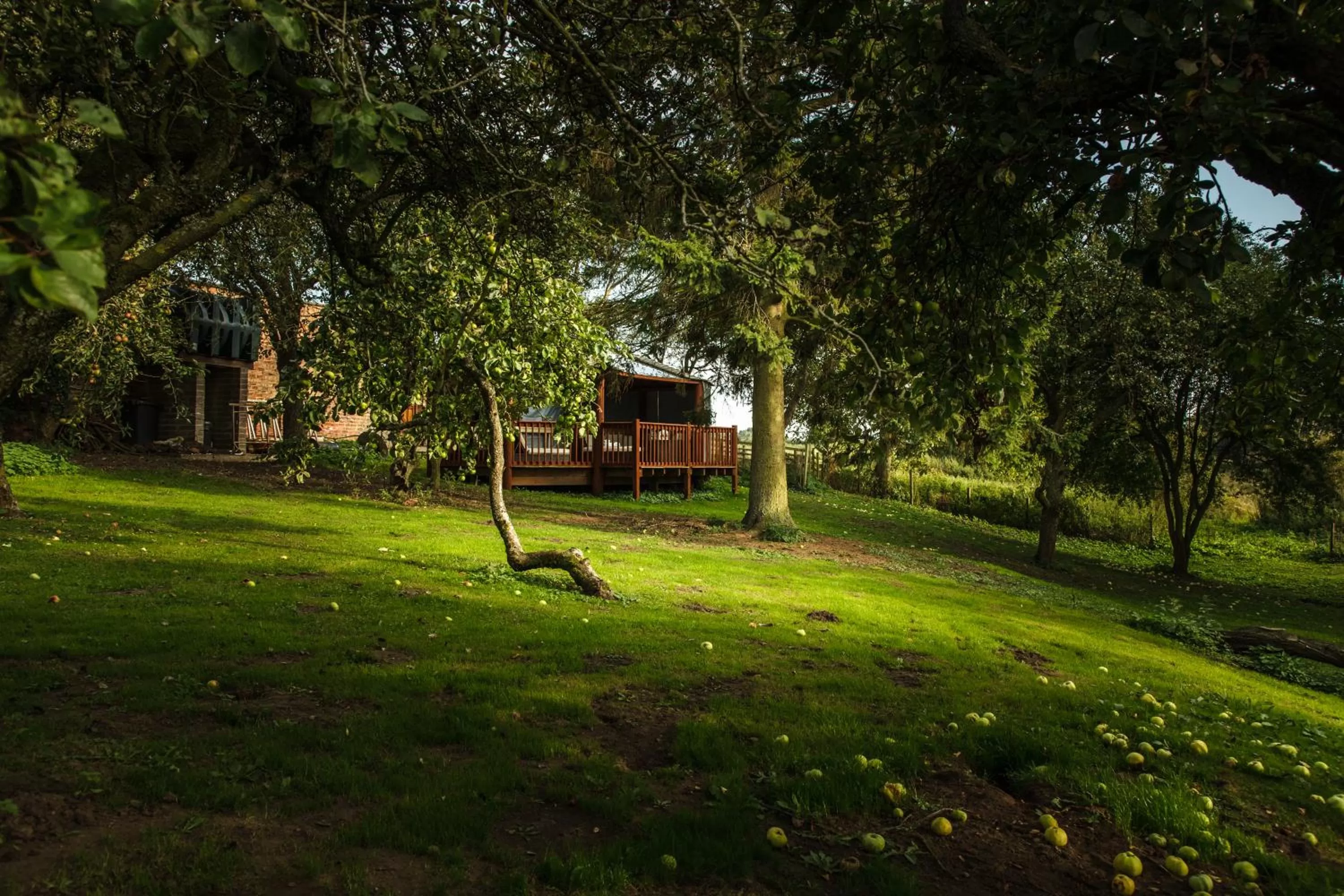 Garden in Newsham Grange Farm