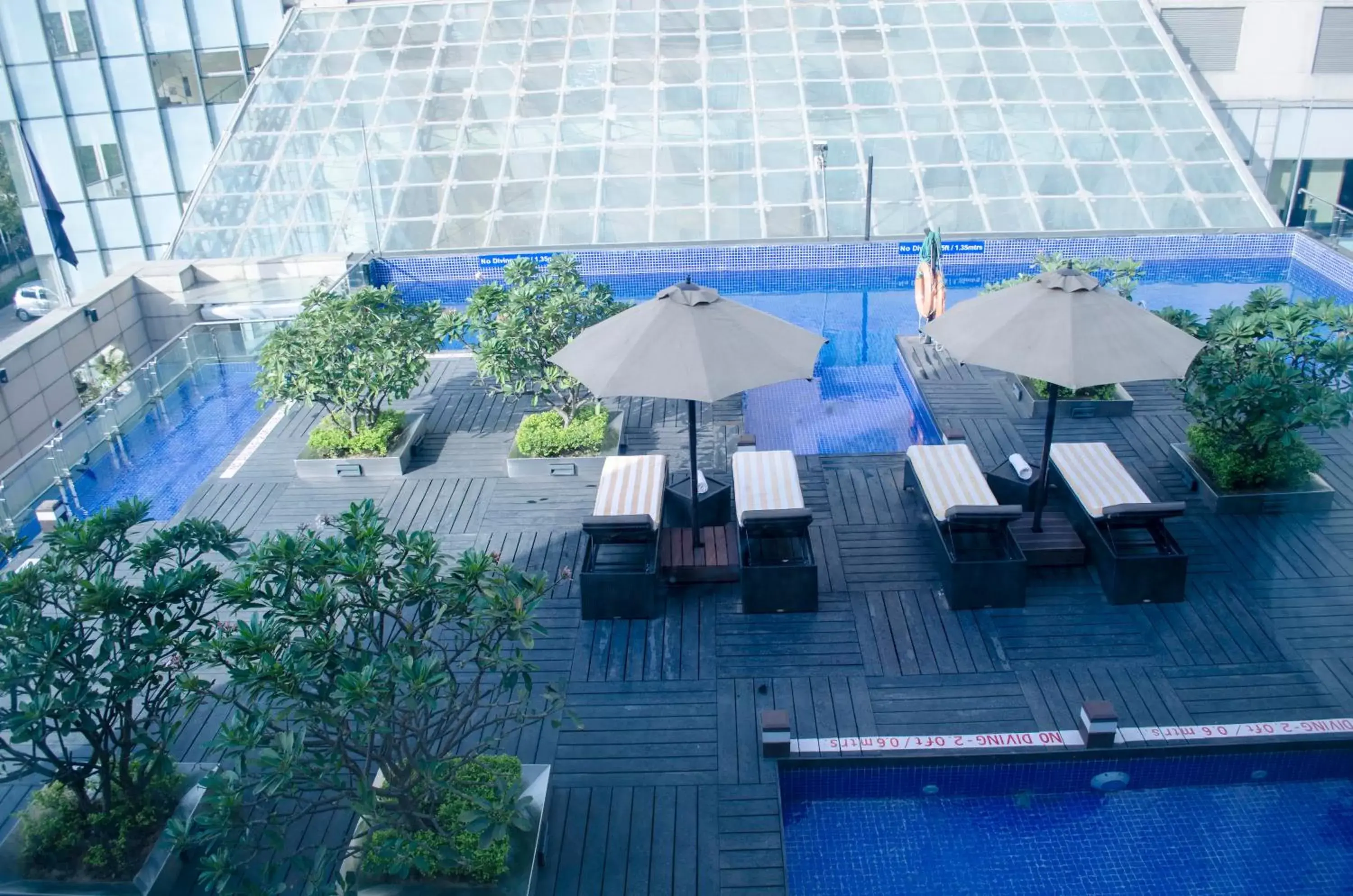 Swimming Pool in Radisson Blu Hotel, Greater Noida