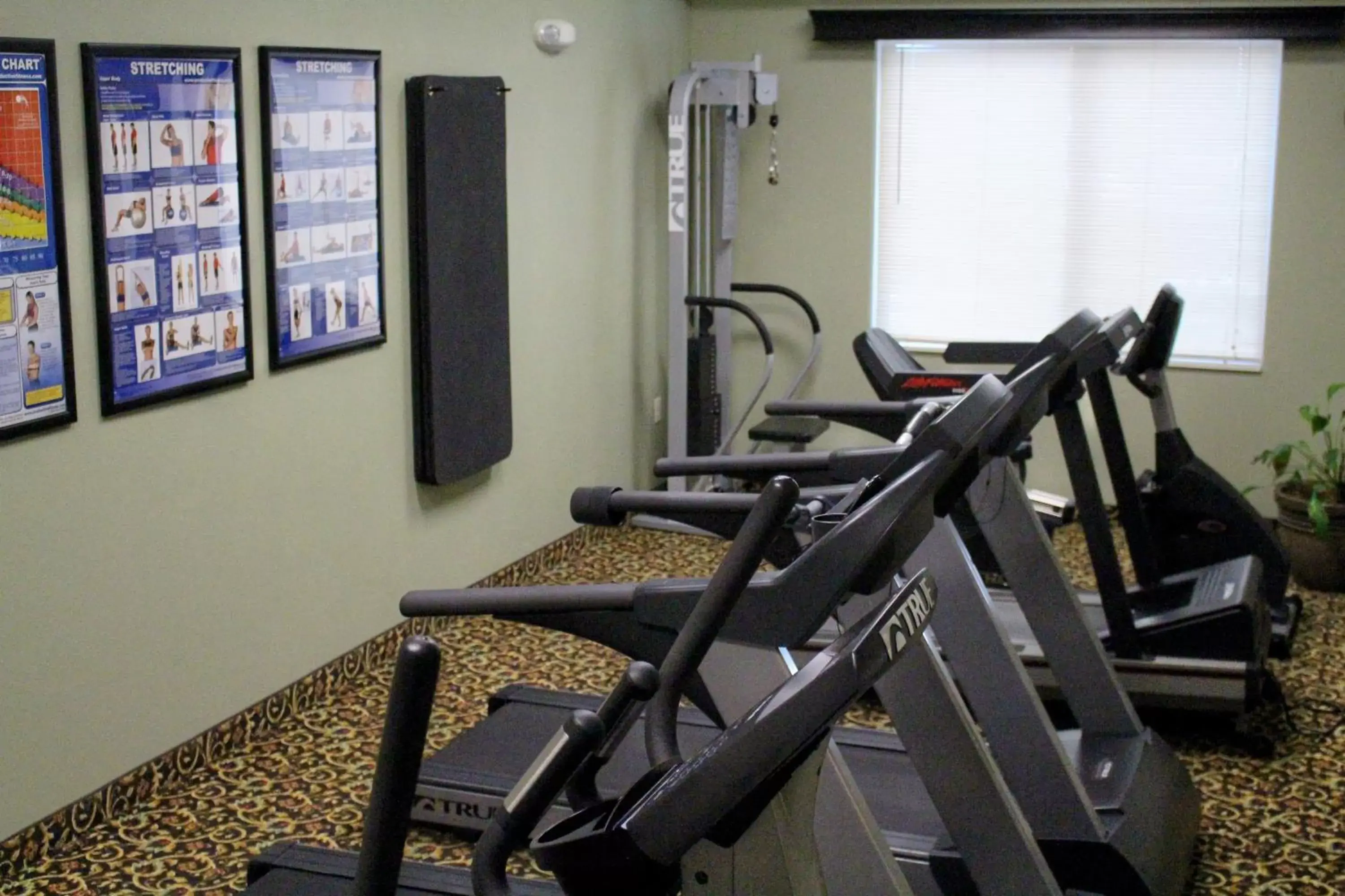 Day, Fitness Center/Facilities in Expressway Suites Fargo