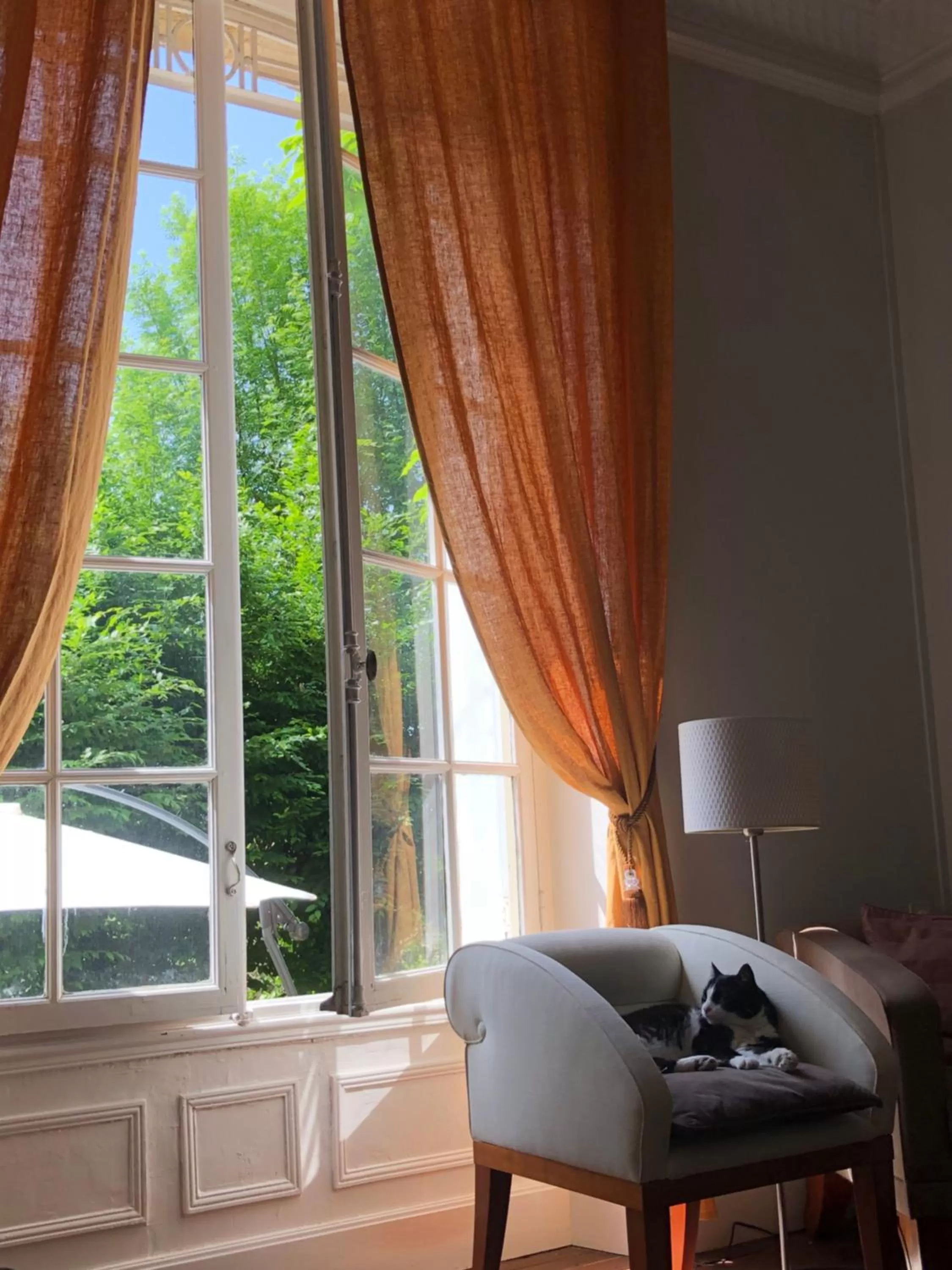 Pets in Maison de la Comtesse