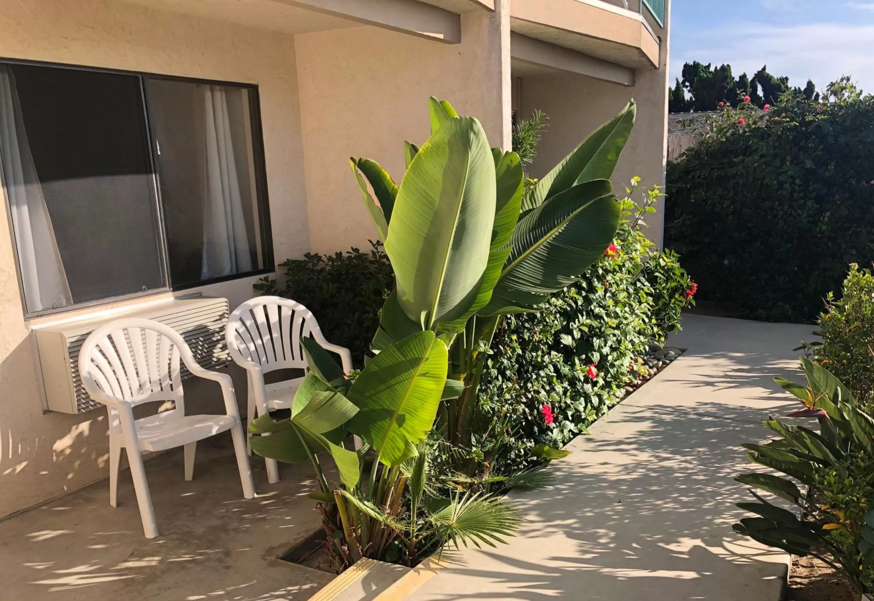 Patio in Moonlight Beach Motel