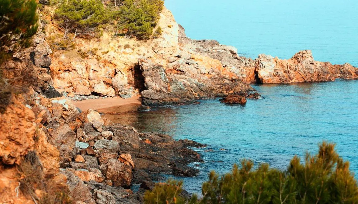 Natural landscape in Hostal Ses Negres