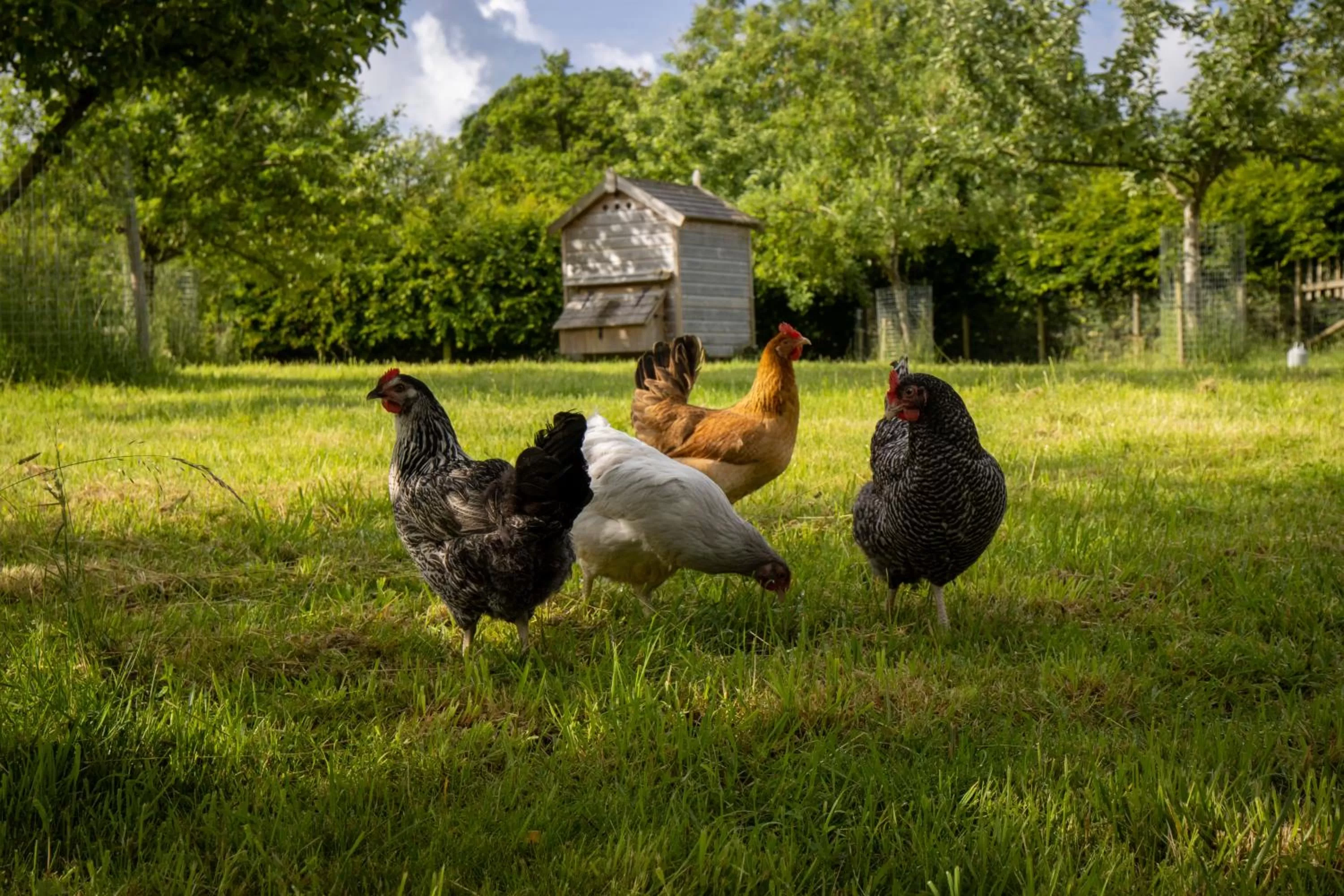 Natural landscape in Gutchpool Farm