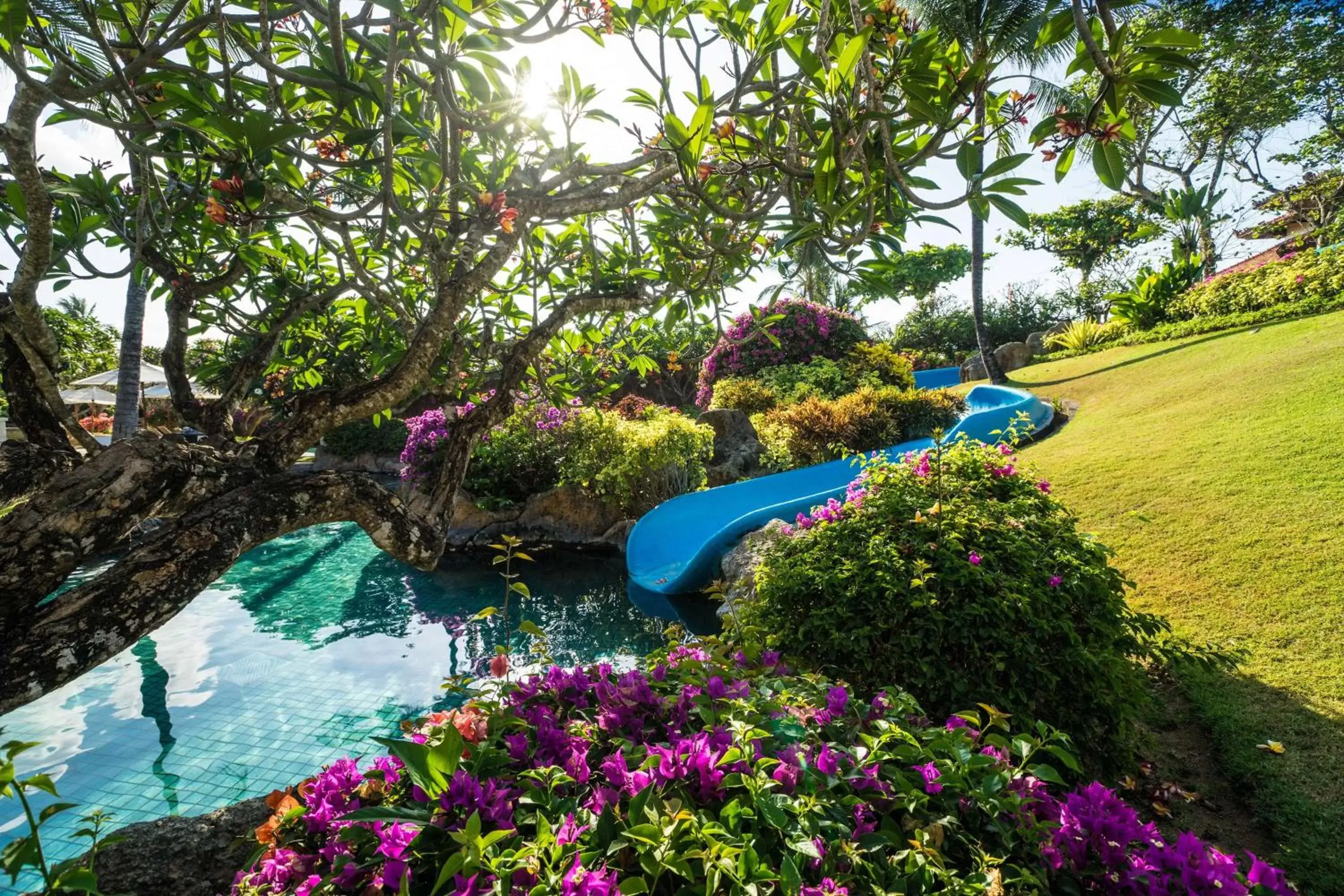 Activities, Pool View in Grand Hyatt Bali