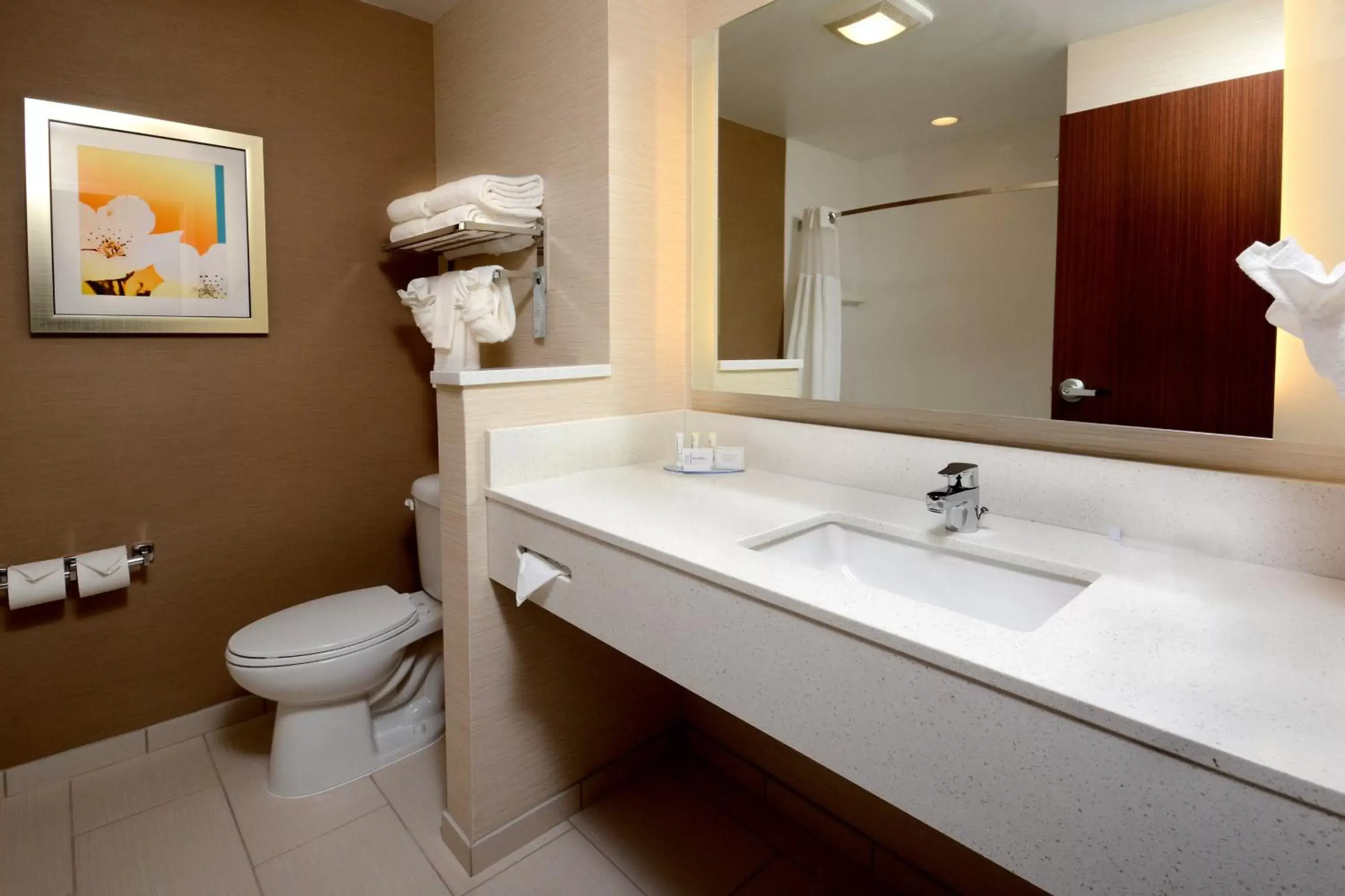 Bathroom in Fairfield Inn & Suites by Marriott Raleigh Capital Blvd./I-540