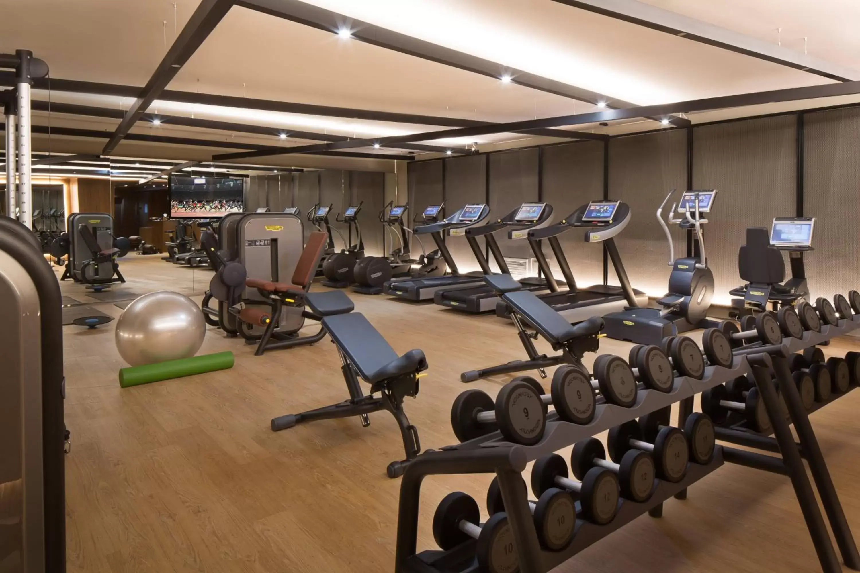 Fitness centre/facilities, Fitness Center/Facilities in Skopje Marriott Hotel