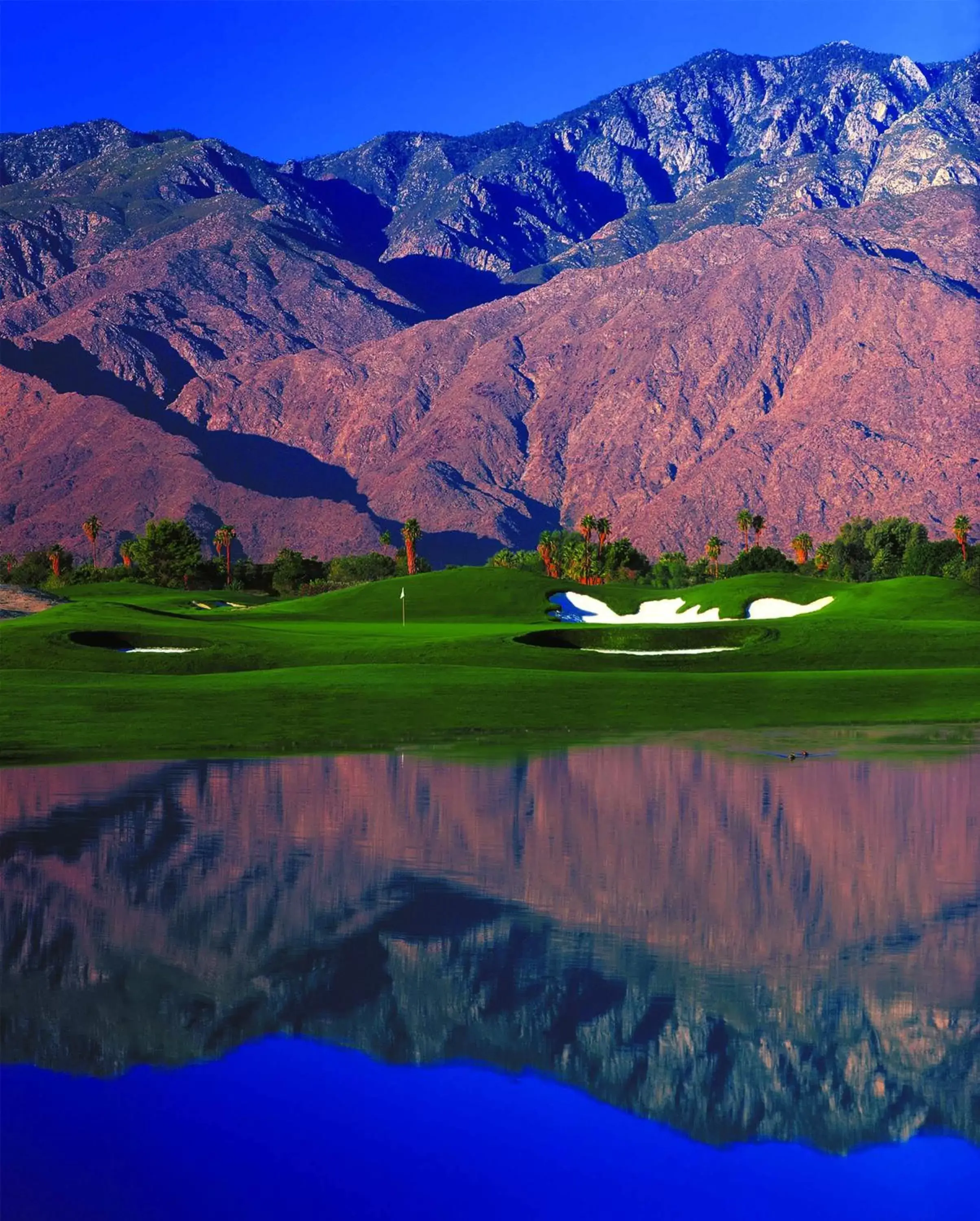 Natural Landscape in Raintree's Cimarron Golf Resort Palm Springs