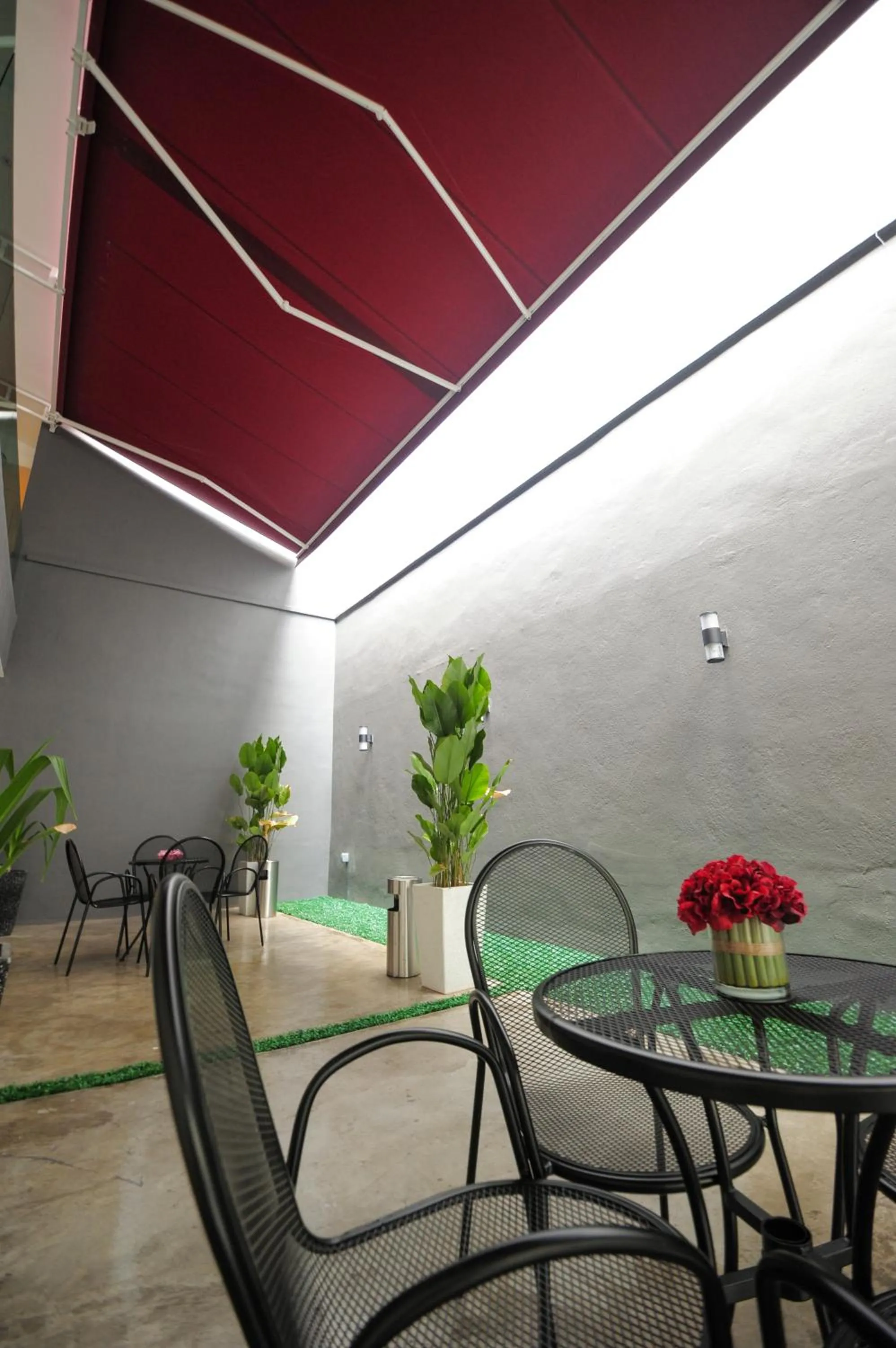 Garden in Hotel Mezzo