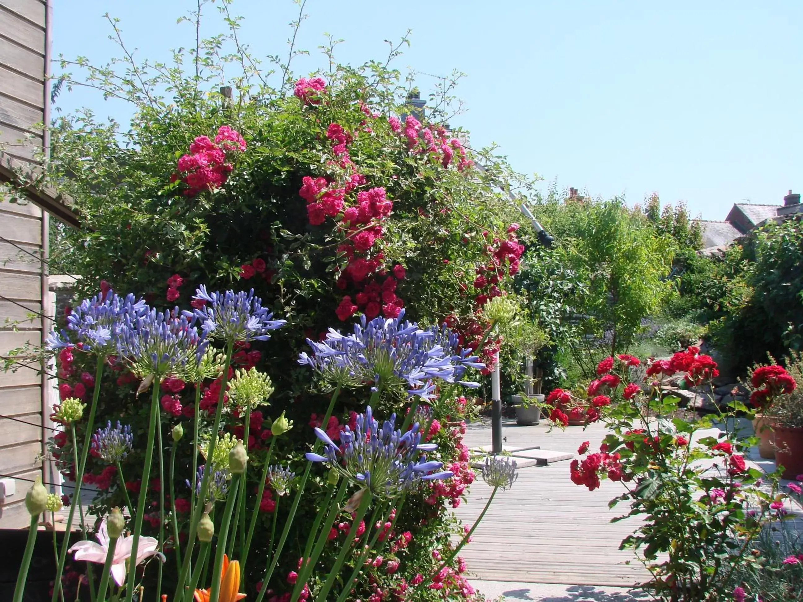 Garden in Chambres de Condate