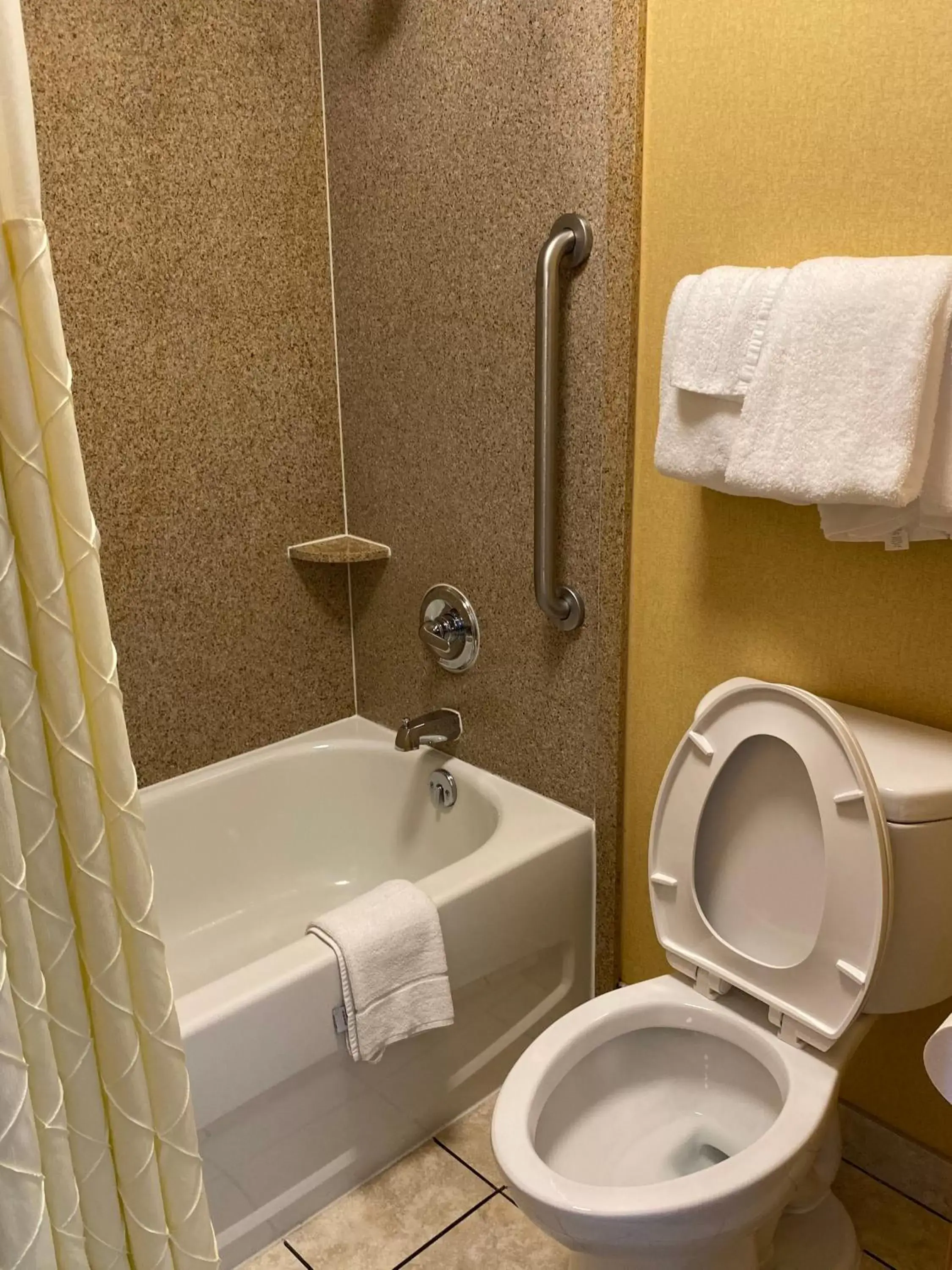 Toilet, Bathroom in Deluxe Inn - Fayetteville I-95