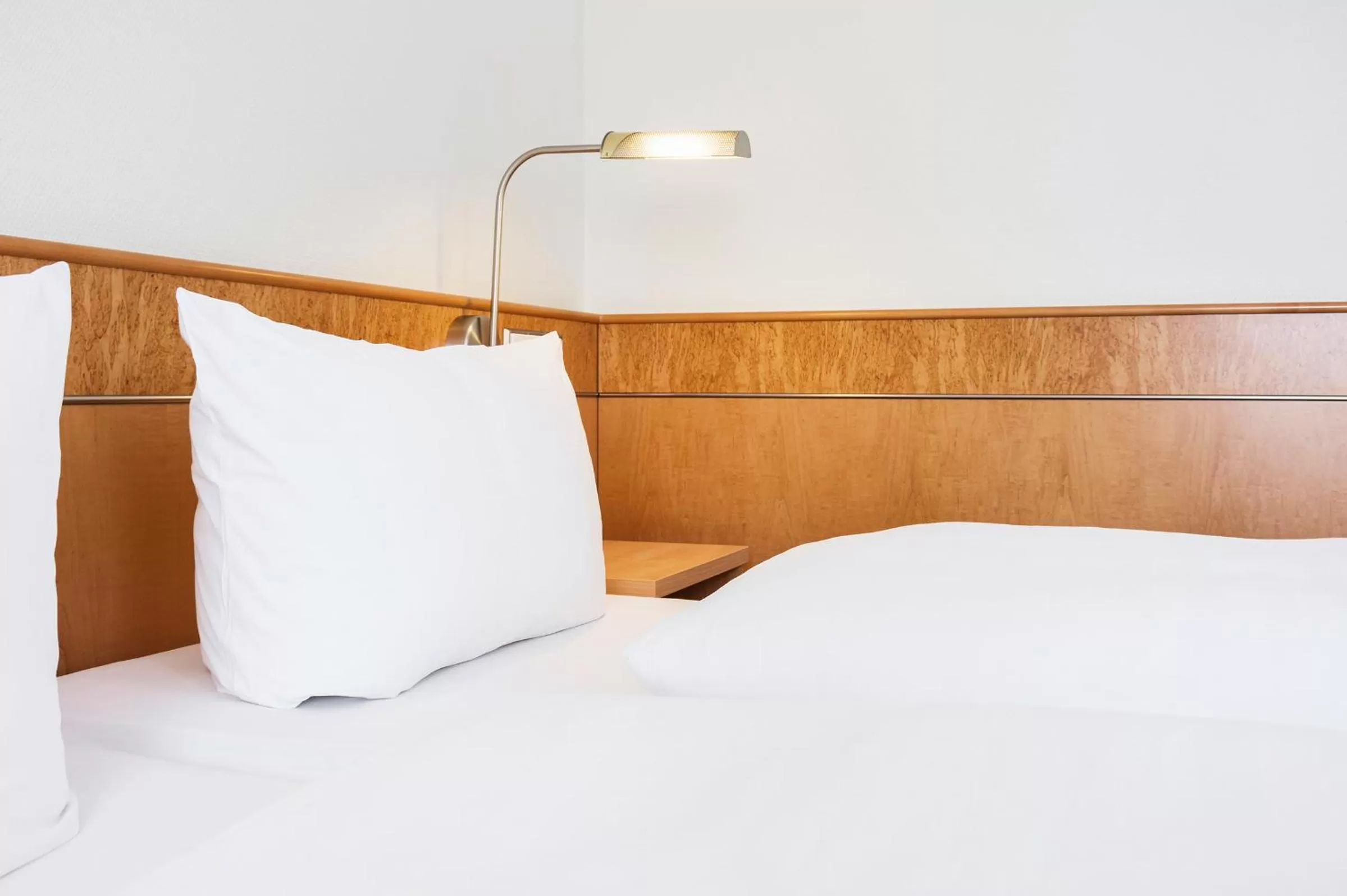 Photo of the whole room in Hotel Rad