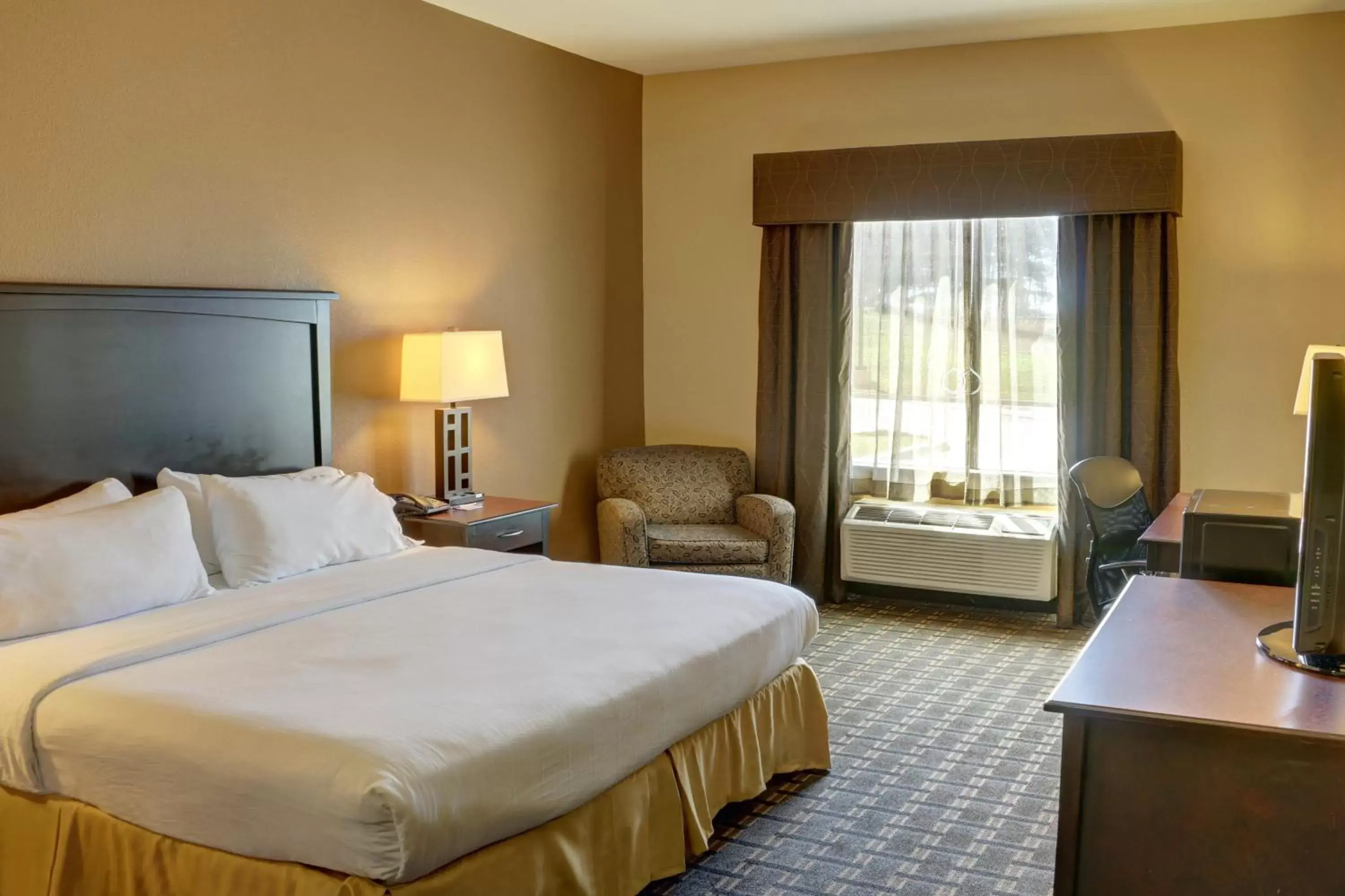 Photo of the whole room, Bed in Holiday Inn Express Hotel & Suites Texarkana East, an IHG Hotel