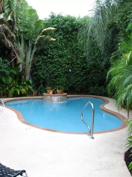Swimming Pool in Mango Inn Bed and Breakfast