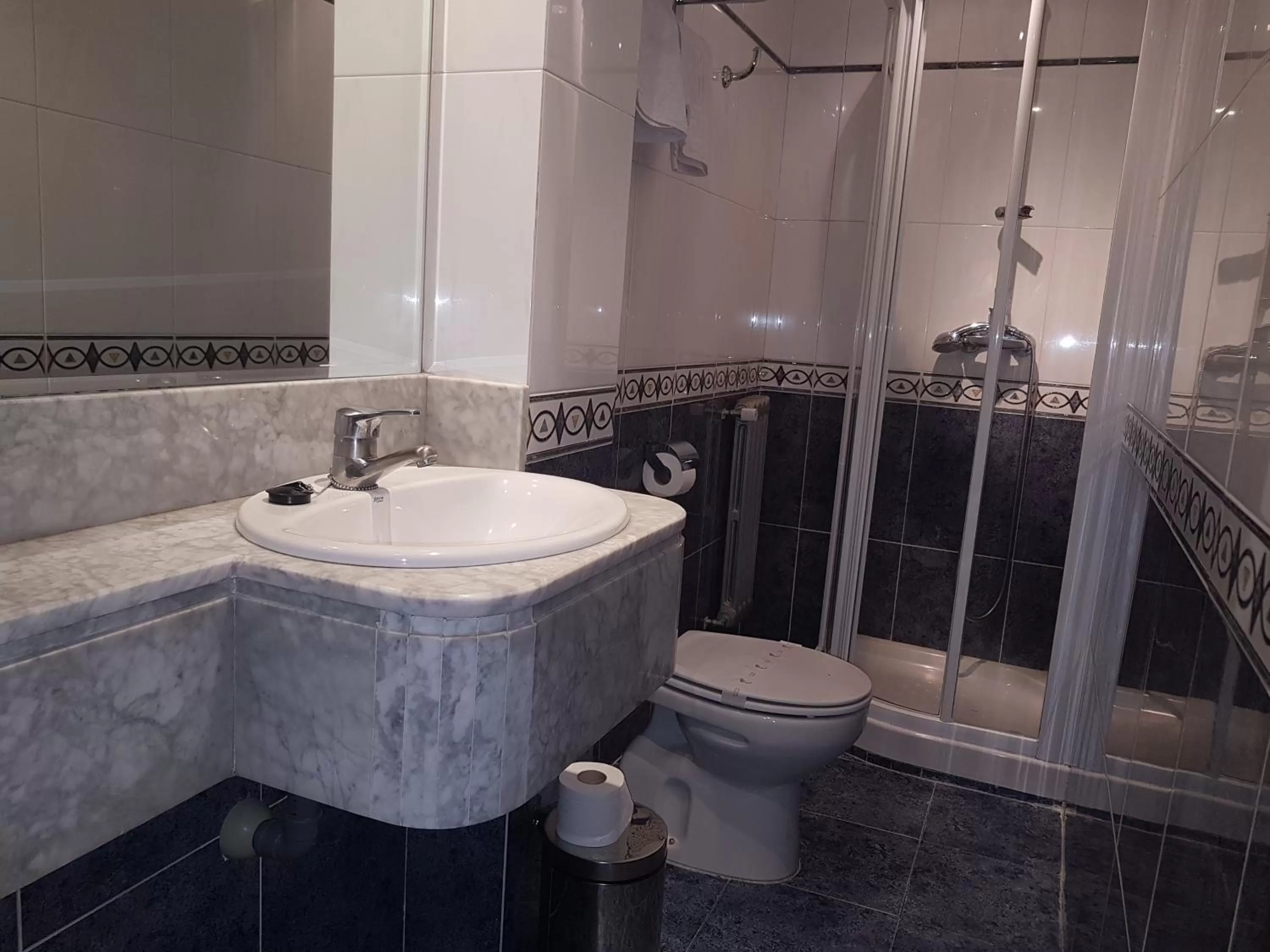 Bathroom in Hotel Castellano I