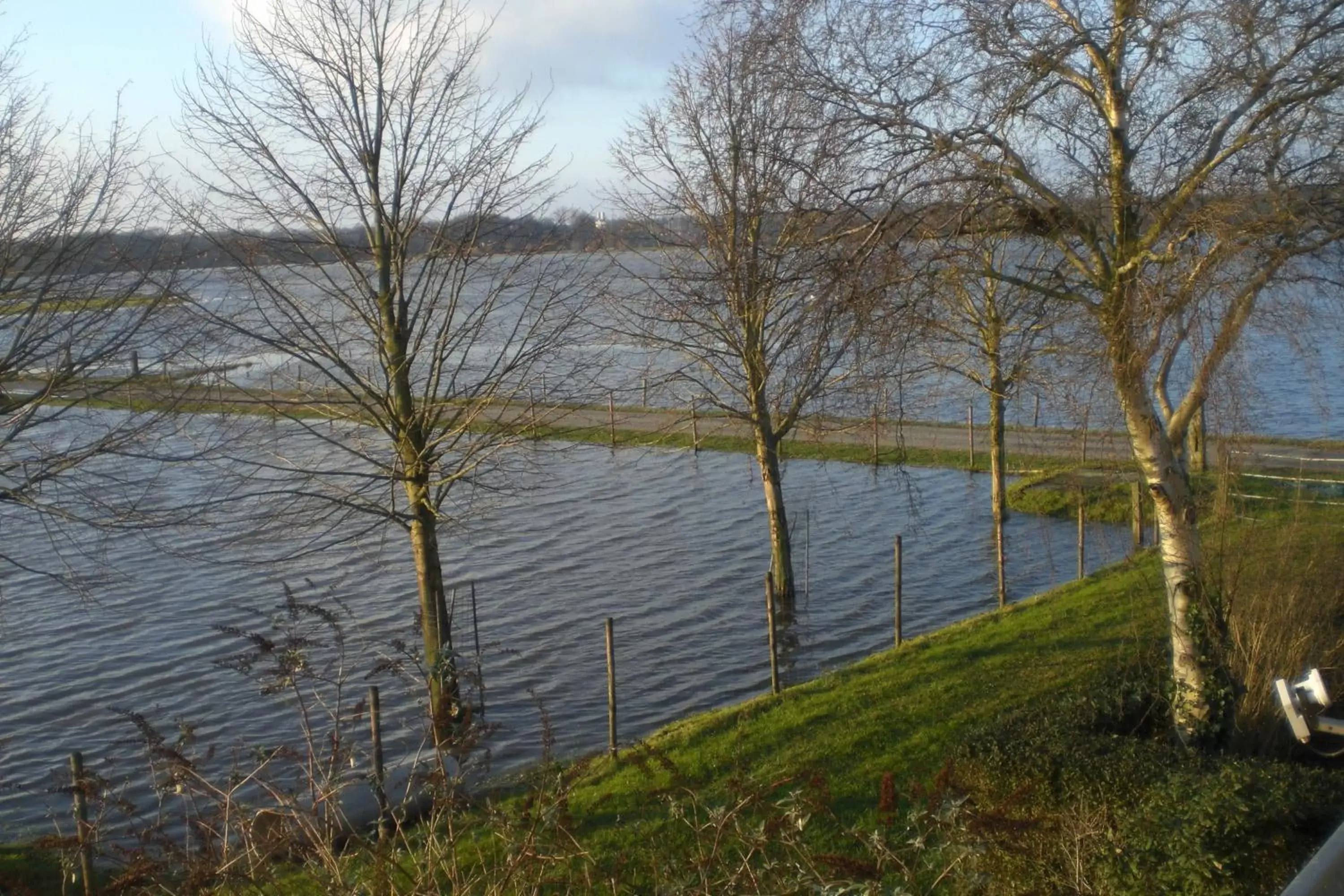 Natural landscape in B&B de Rivierduin