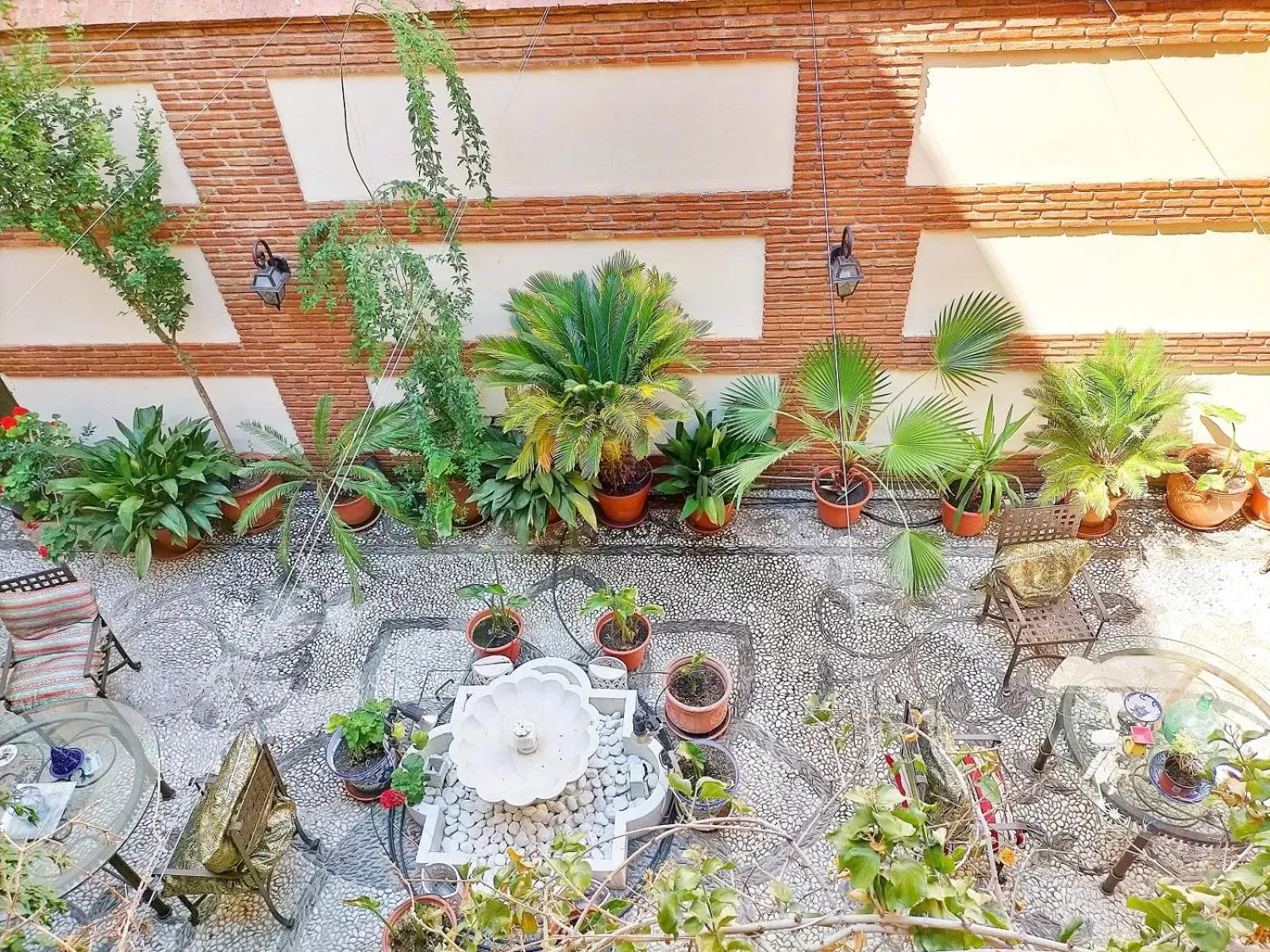 Garden in Abadía Hotel