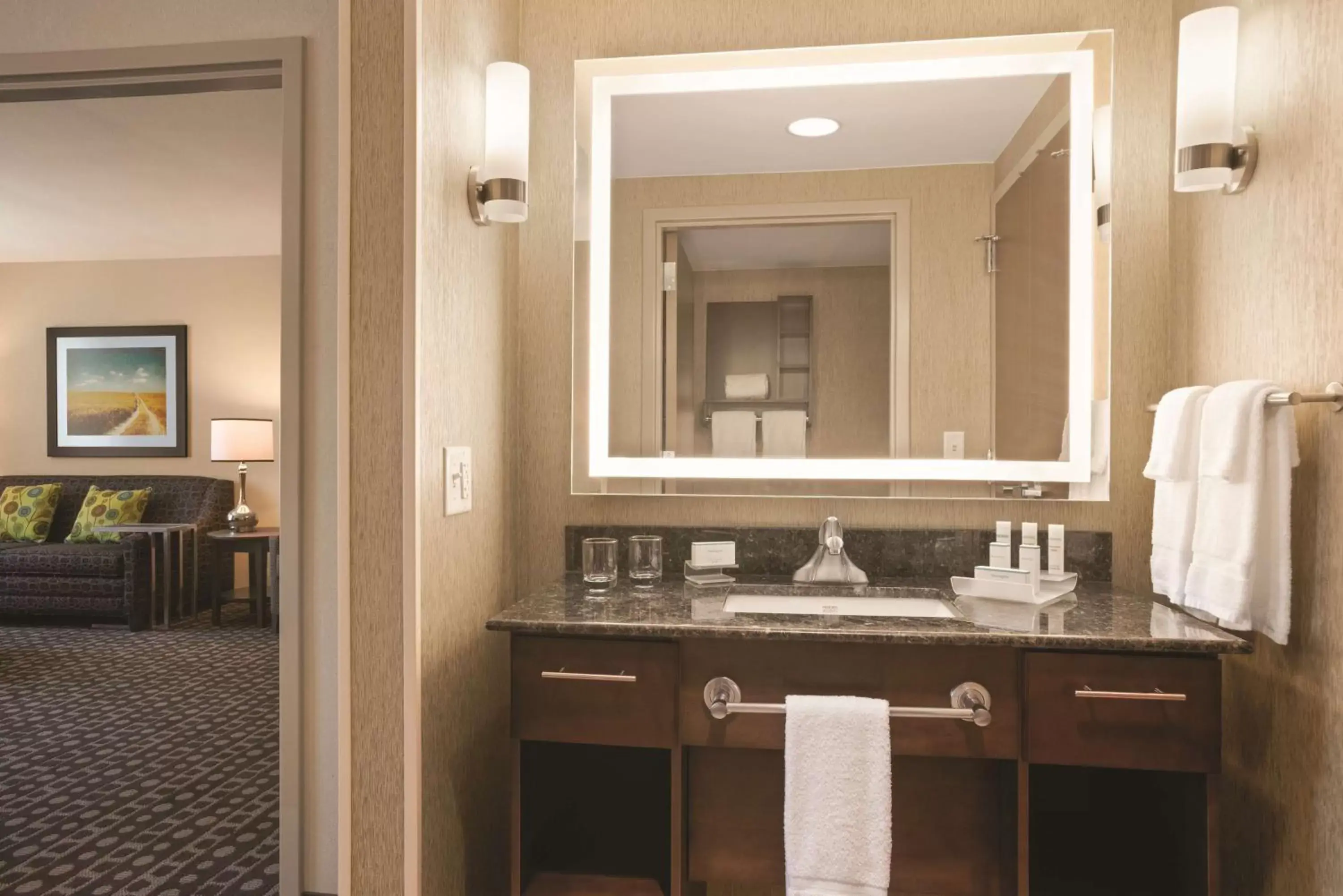 Bathroom in Homewood Suites by Hilton Ankeny