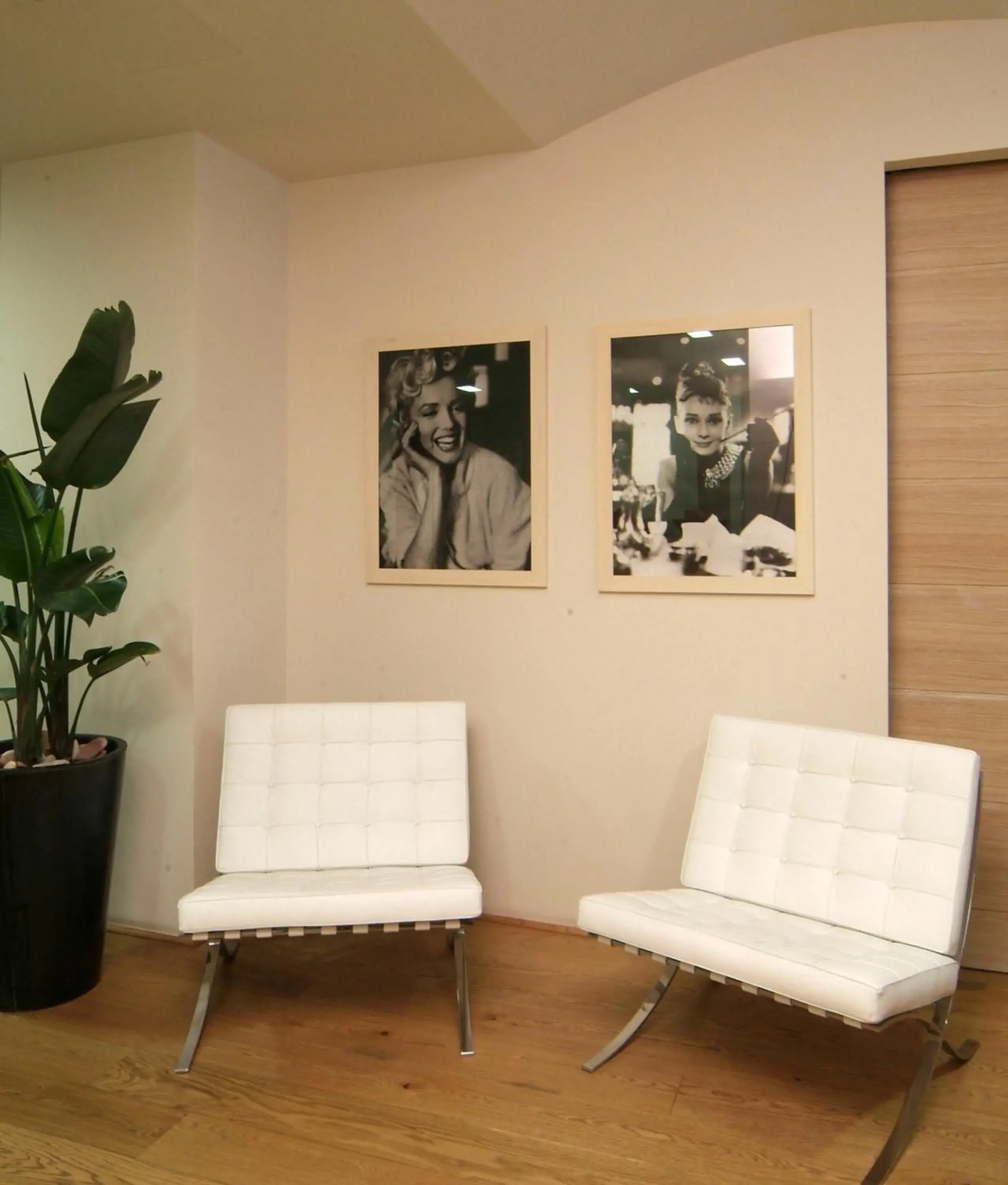 Communal lounge/ TV room, Seating Area in Hotel Touring