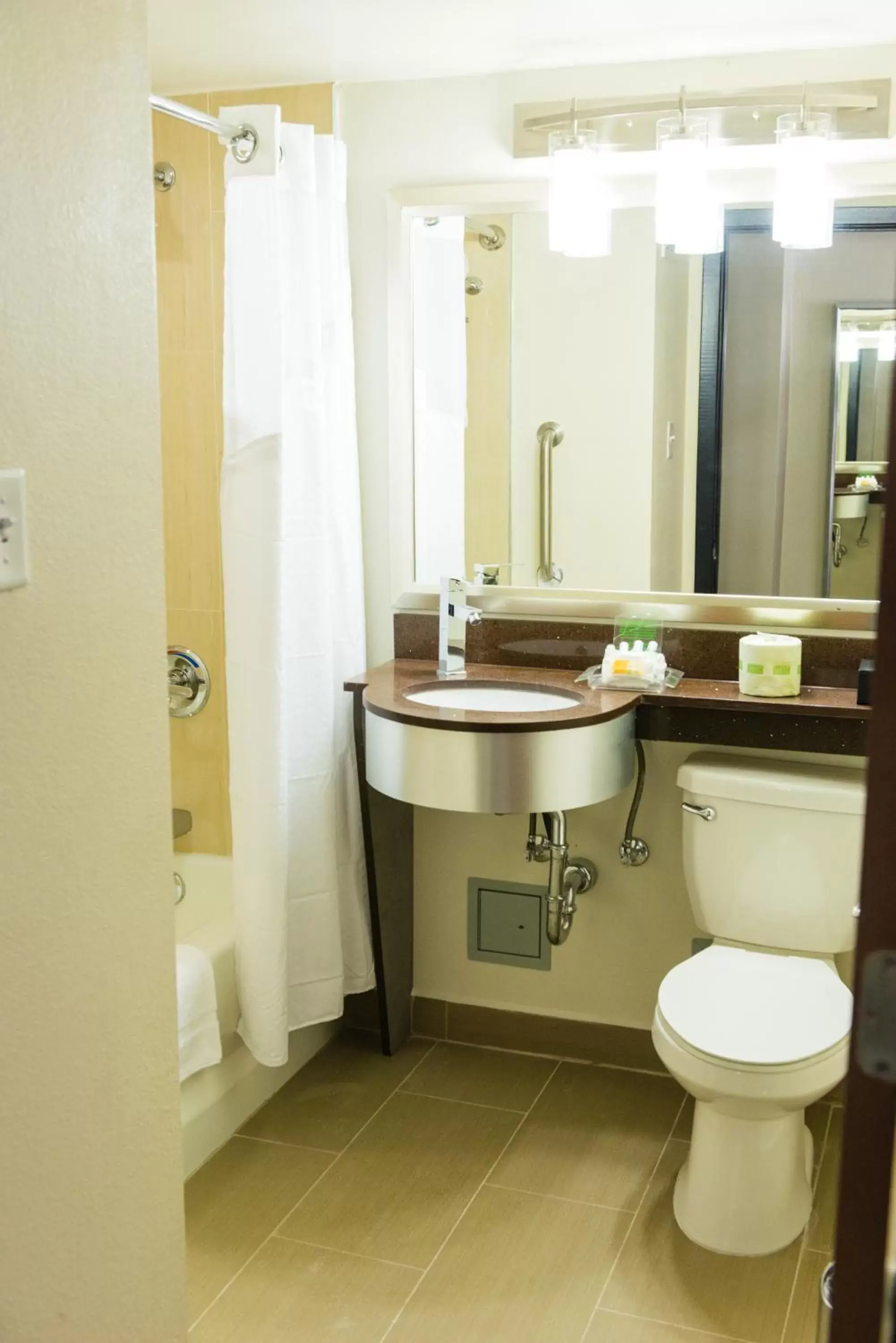 Toilet, Bathroom in Holiday Inn Houston Downtown, an IHG Hotel