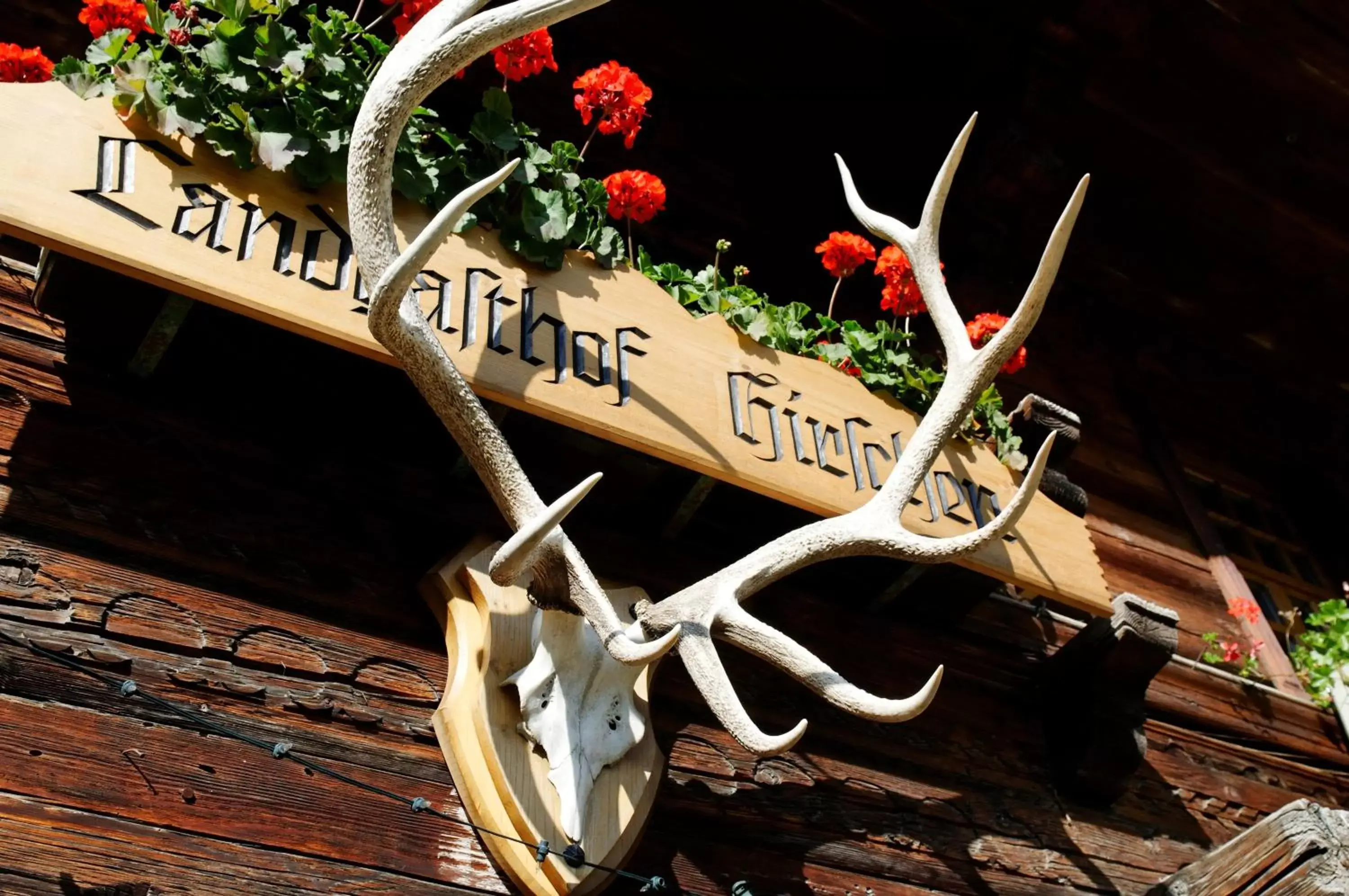 Decorative detail in Hotel Restaurant Hirschen