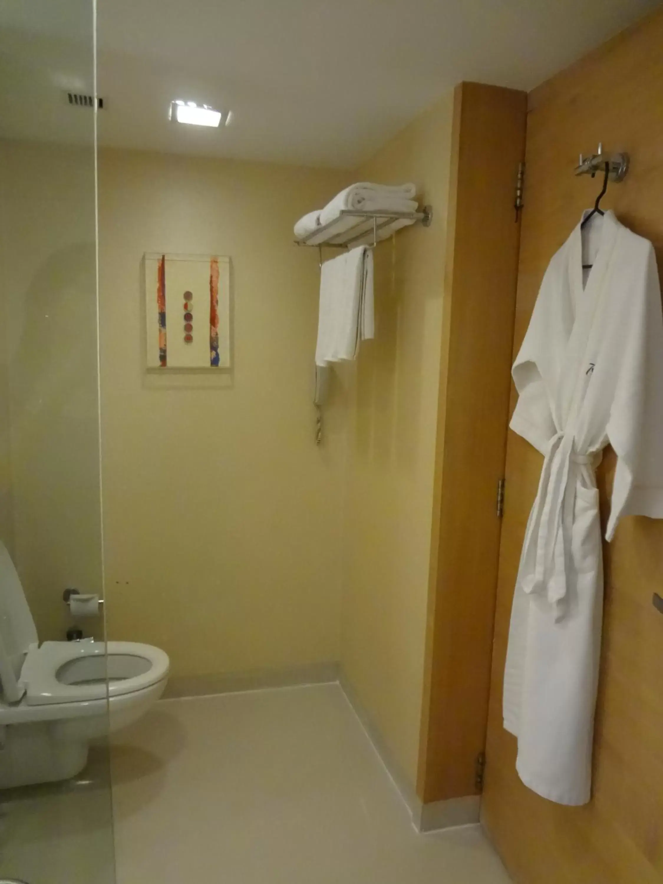 Toilet, Bathroom in Radisson Blu Hotel Pune Kharadi