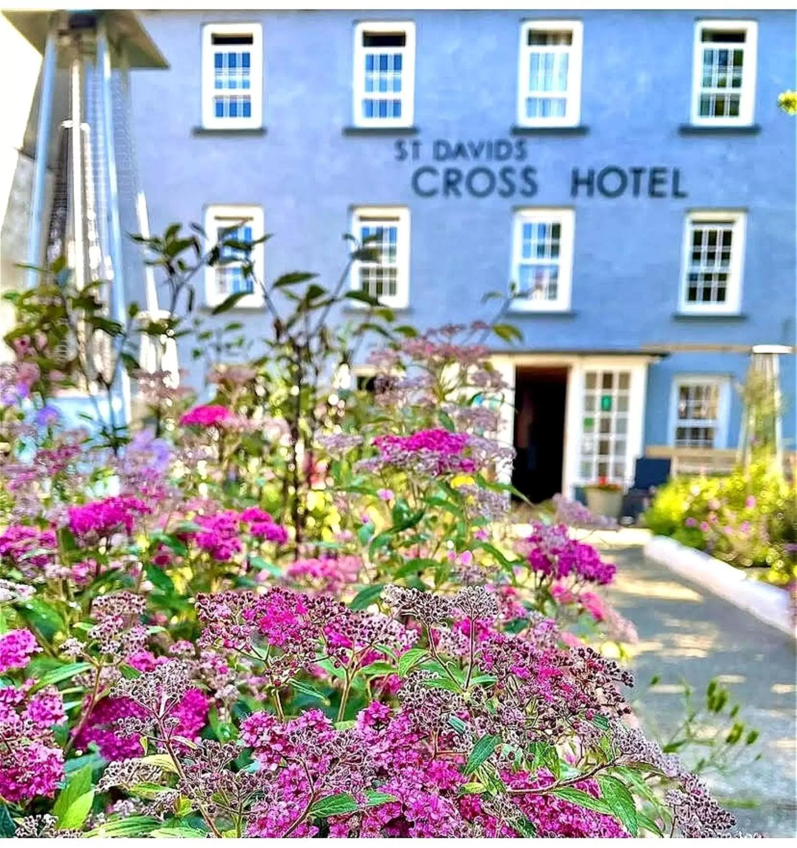 Garden, Property Building in St. Davids Cross Hotel