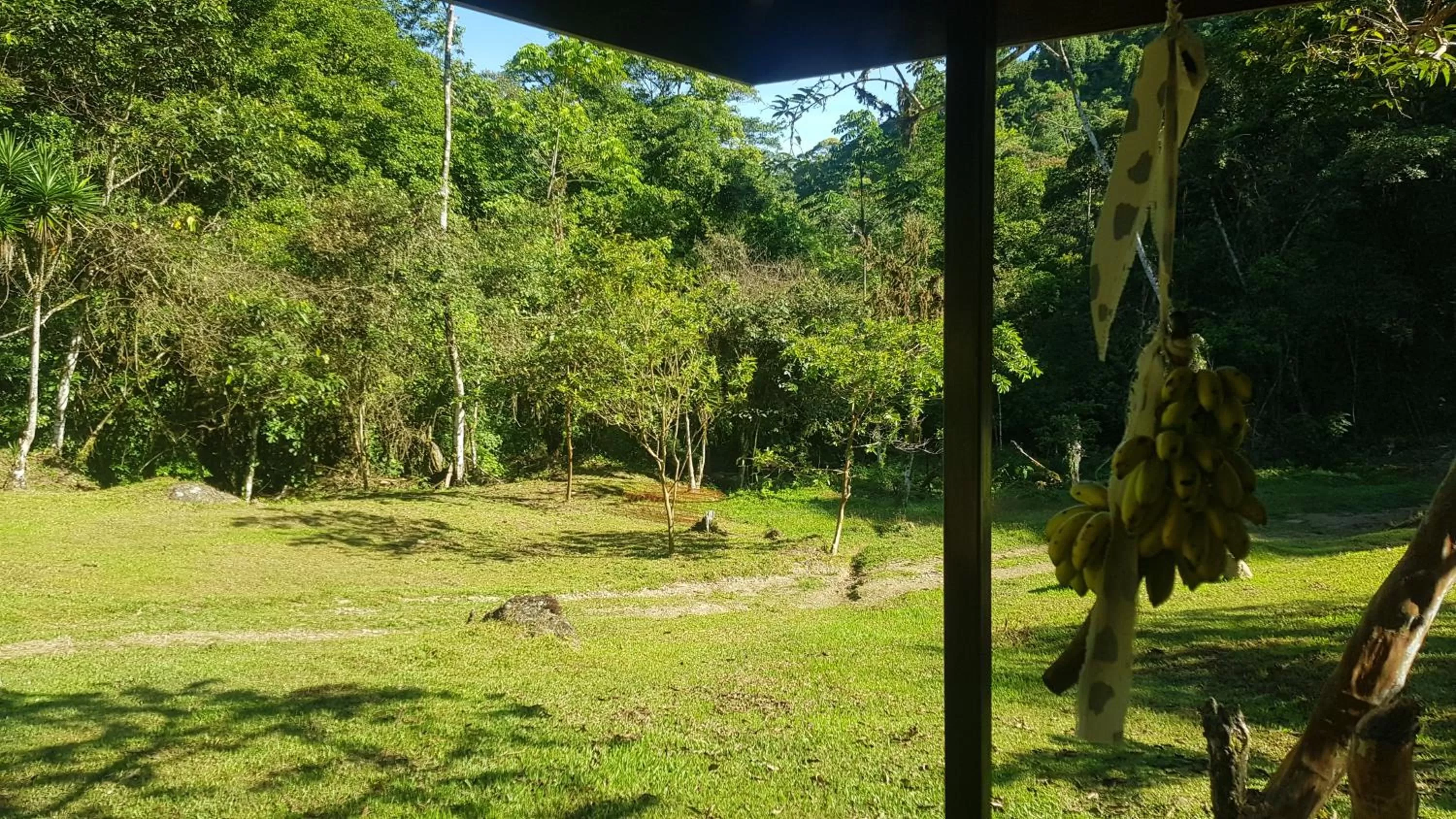 Natural landscape, Garden in Hotel Rivel - Adventure & Nature Retreat